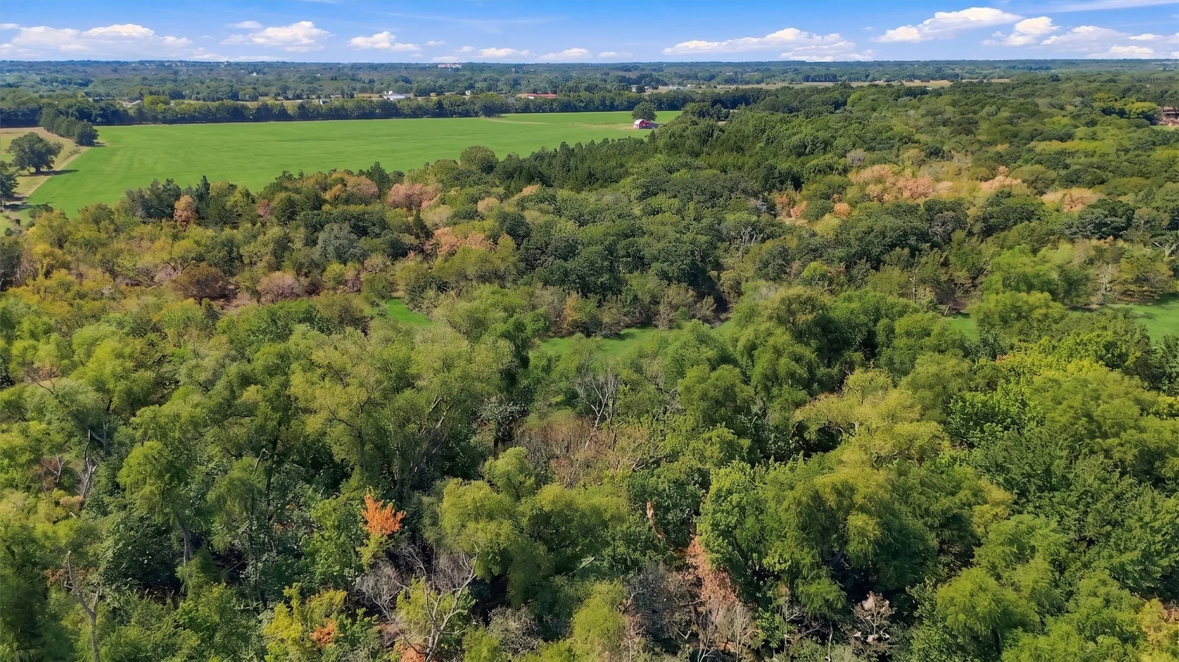 Ranch For Sale in Fannin County , 000 CR 1245, Savoy, Texas 75479, 0, 0, Garage spaces, 0 Sqft, built in 2017, mls#21388044, Real Estate Agent in Savoy, Homes For Sale in Fannin county, Homes For Sale in Savoy, Realtor in Savoy Texas, Real Estate Brokerage Independent Realty Texas, Luminita Cordes Realtor