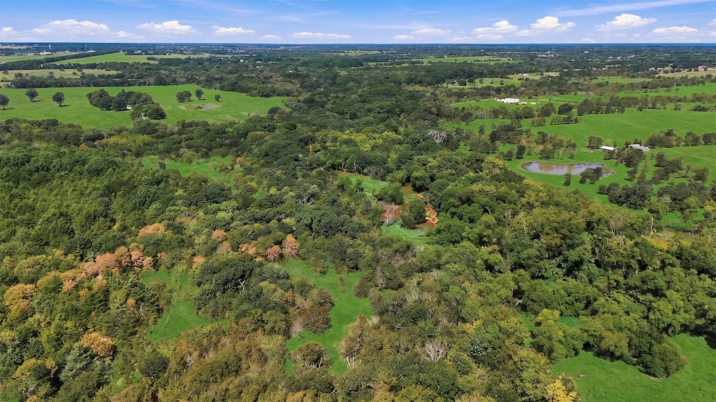 Ranch For Sale in Fannin County , 000 CR 1245, Savoy, Texas 75479, 0, 0, Garage spaces, 0 Sqft, built in 2017, mls#21388044, Real Estate Agent in Savoy, Homes For Sale in Fannin county, Homes For Sale in Savoy, Realtor in Savoy Texas, Real Estate Brokerage Independent Realty Texas, Luminita Cordes Realtor