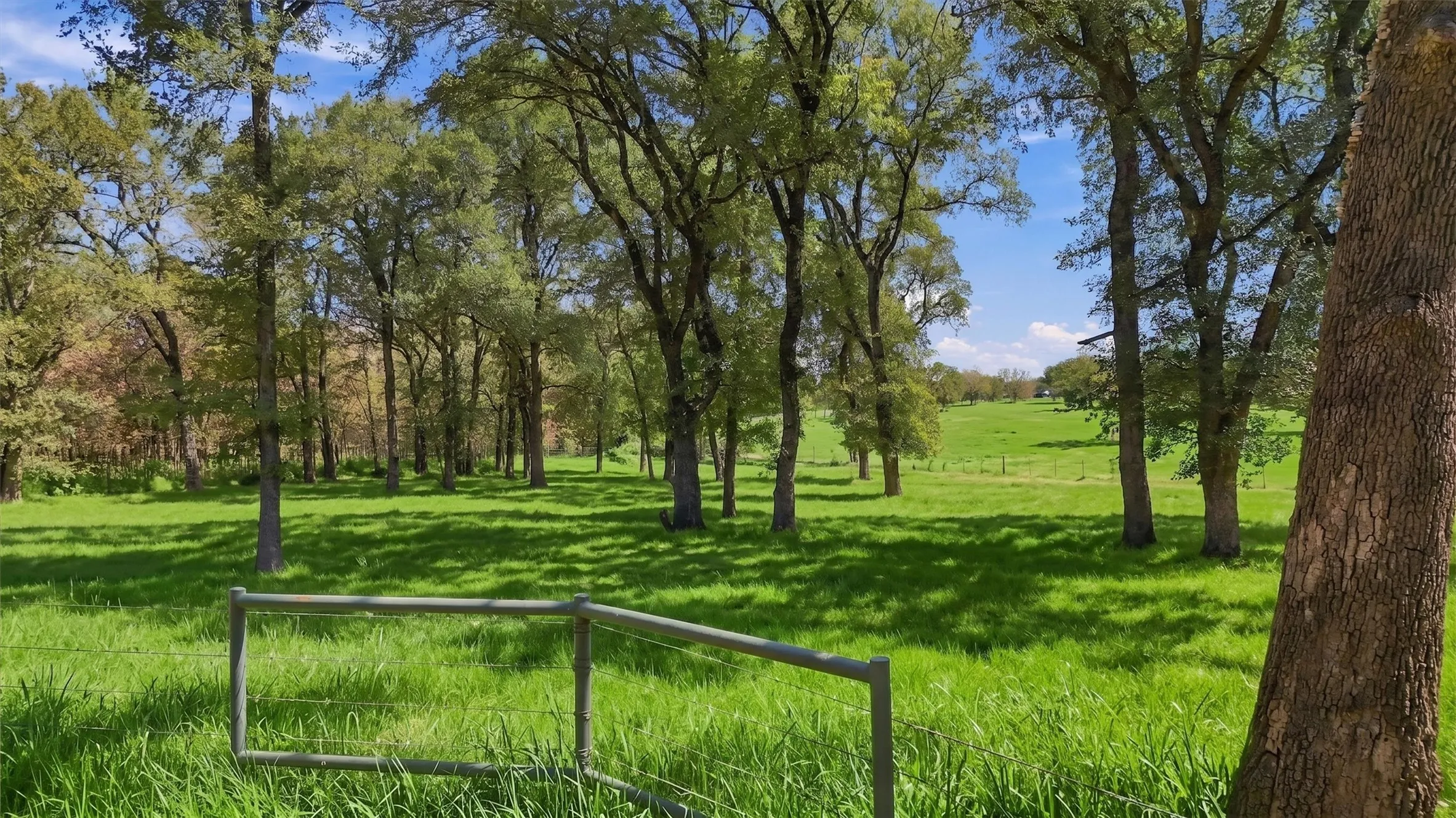 Ranch For Sale in Fannin County , 000 CR 1245, Savoy, Texas 75479, 0, 0, Garage spaces, 0 Sqft, built in 2017, mls#21388044, Real Estate Agent in Savoy, Homes For Sale in Fannin county, Homes For Sale in Savoy, Realtor in Savoy Texas, Real Estate Brokerage Independent Realty Texas, Luminita Cordes Realtor