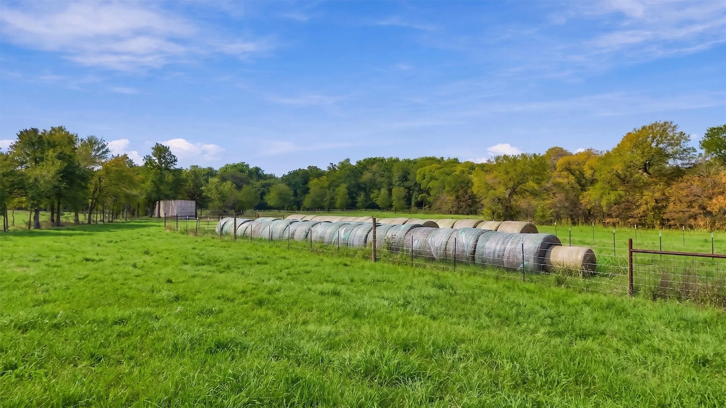 Ranch For Sale in Fannin County , 000 CR 1245, Savoy, Texas 75479, 0, 0, Garage spaces, 0 Sqft, built in 2017, mls#21388044, Real Estate Agent in Savoy, Homes For Sale in Fannin county, Homes For Sale in Savoy, Realtor in Savoy Texas, Real Estate Brokerage Independent Realty Texas, Luminita Cordes Realtor