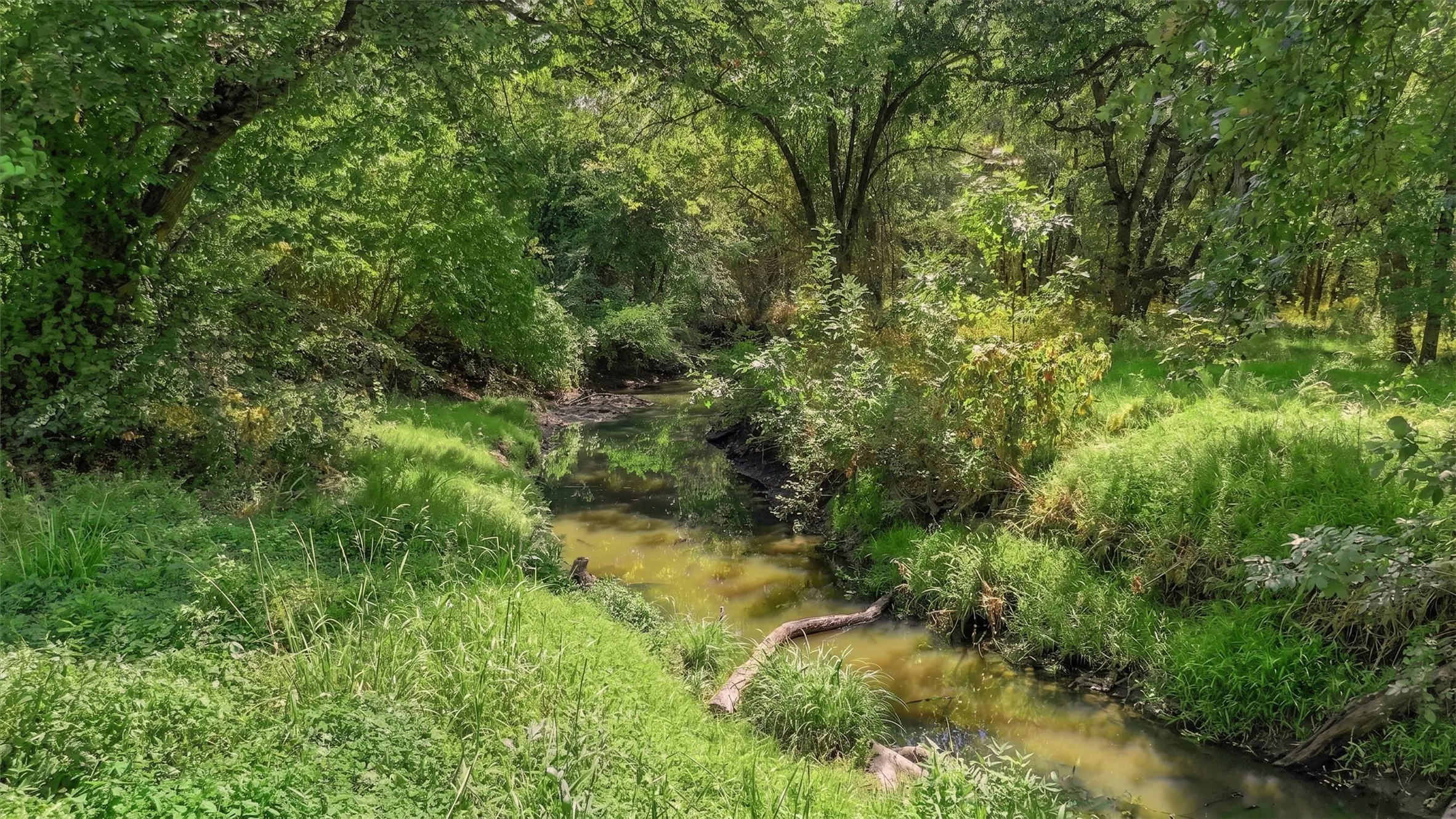 Ranch For Sale in Fannin County , 000 CR 1245, Savoy, Texas 75479, 0, 0, Garage spaces, 0 Sqft, built in 2017, mls#21388044, Real Estate Agent in Savoy, Homes For Sale in Fannin county, Homes For Sale in Savoy, Realtor in Savoy Texas, Real Estate Brokerage Independent Realty Texas, Luminita Cordes Realtor