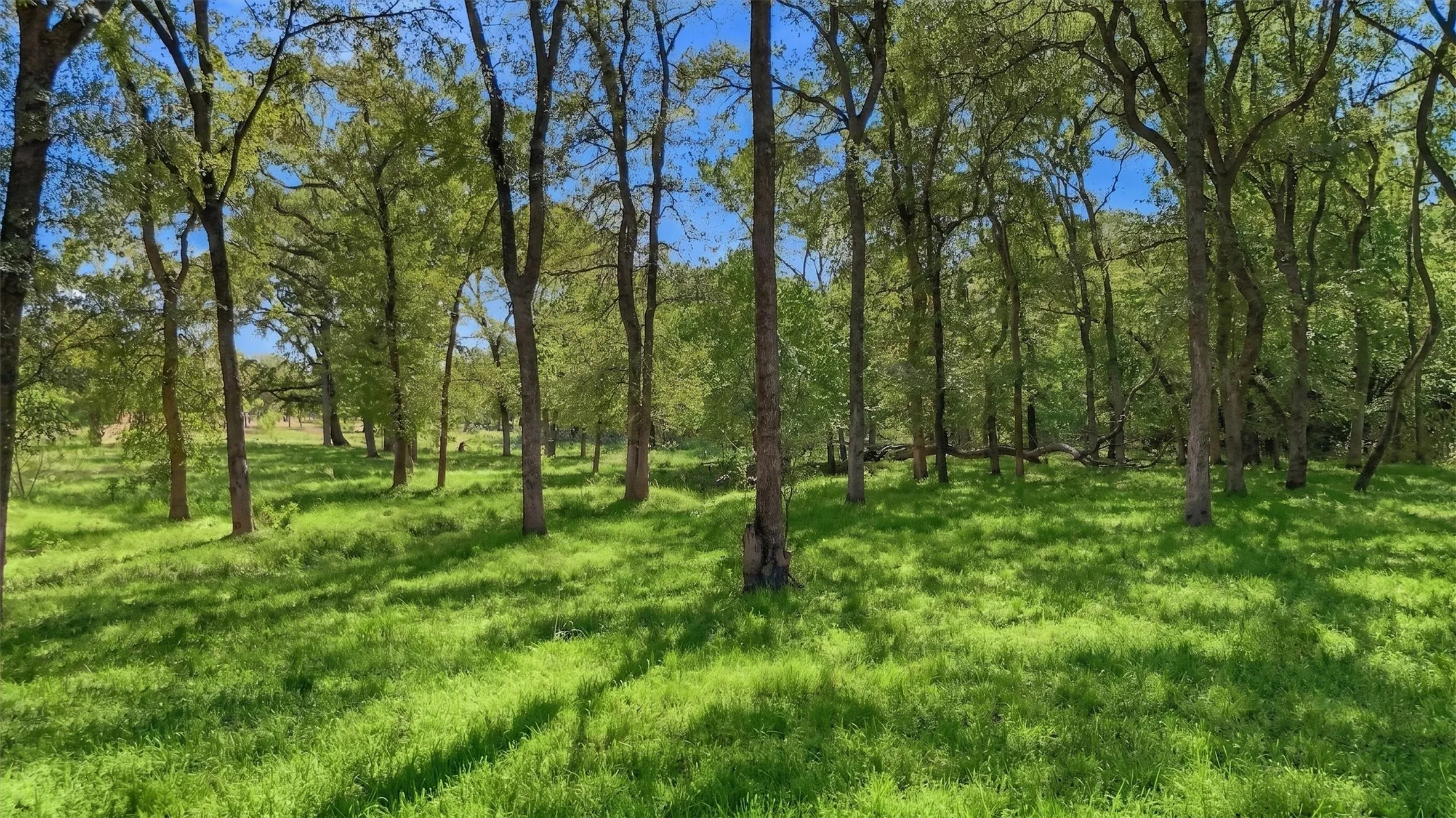 Ranch For Sale in Fannin County , 000 CR 1245, Savoy, Texas 75479, 0, 0, Garage spaces, 0 Sqft, built in 2017, mls#21388044, Real Estate Agent in Savoy, Homes For Sale in Fannin county, Homes For Sale in Savoy, Realtor in Savoy Texas, Real Estate Brokerage Independent Realty Texas, Luminita Cordes Realtor