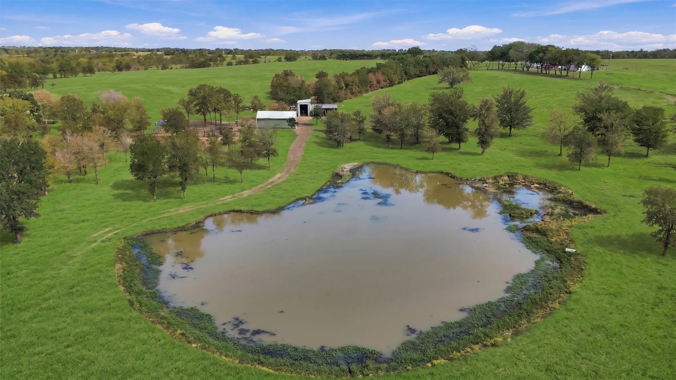 Ranch For Sale in Fannin County , 000 CR 1245, Savoy, Texas 75479, 0, 0, Garage spaces, 0 Sqft, built in 2017, mls#21388044, Real Estate Agent in Savoy, Homes For Sale in Fannin county, Homes For Sale in Savoy, Realtor in Savoy Texas, Real Estate Brokerage Independent Realty Texas, Luminita Cordes Realtor