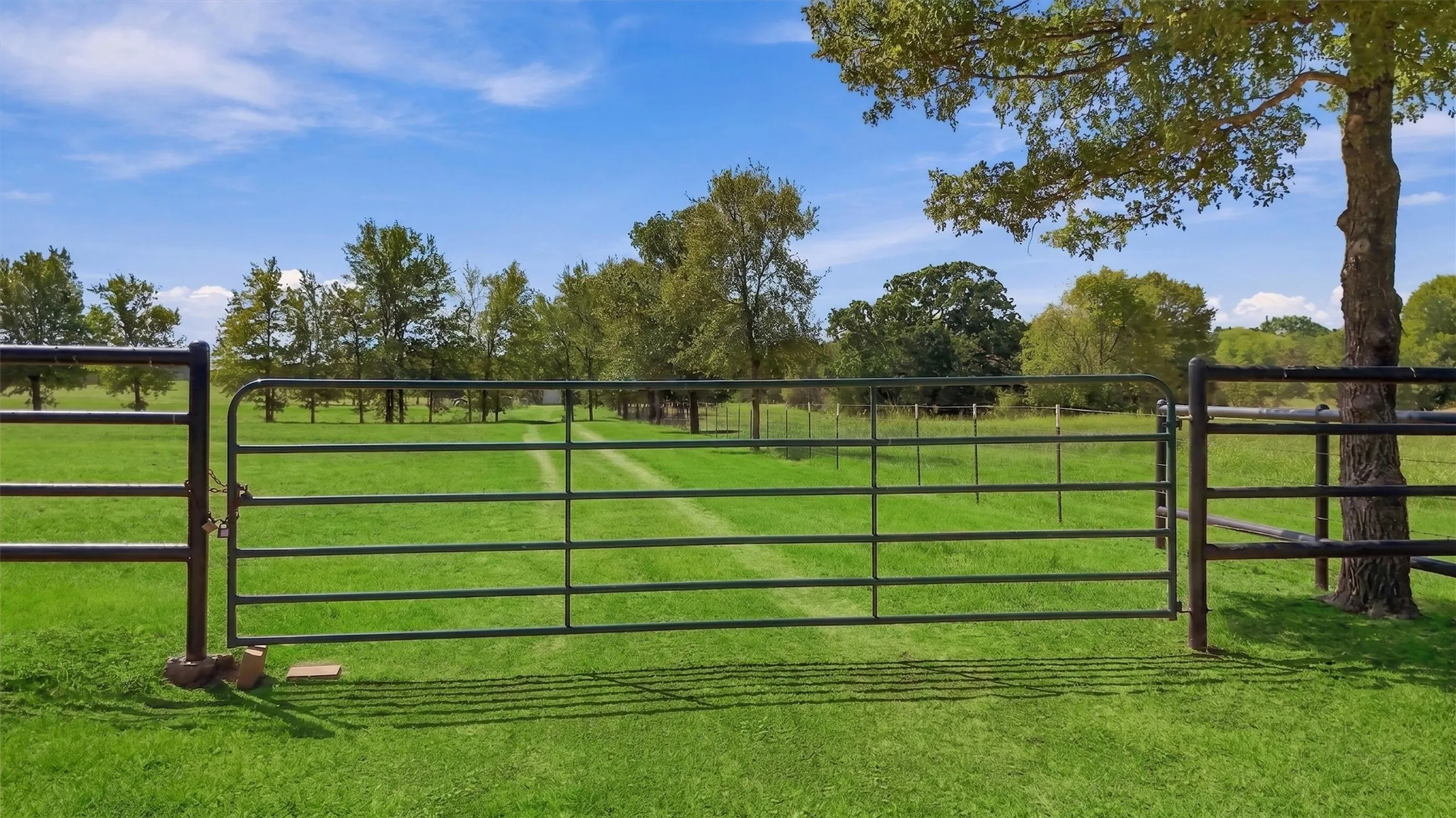 Ranch For Sale in Fannin County , 000 CR 1245, Savoy, Texas 75479, 0, 0, Garage spaces, 0 Sqft, built in 2017, mls#21388044, Real Estate Agent in Savoy, Homes For Sale in Fannin county, Homes For Sale in Savoy, Realtor in Savoy Texas, Real Estate Brokerage Independent Realty Texas, Luminita Cordes Realtor