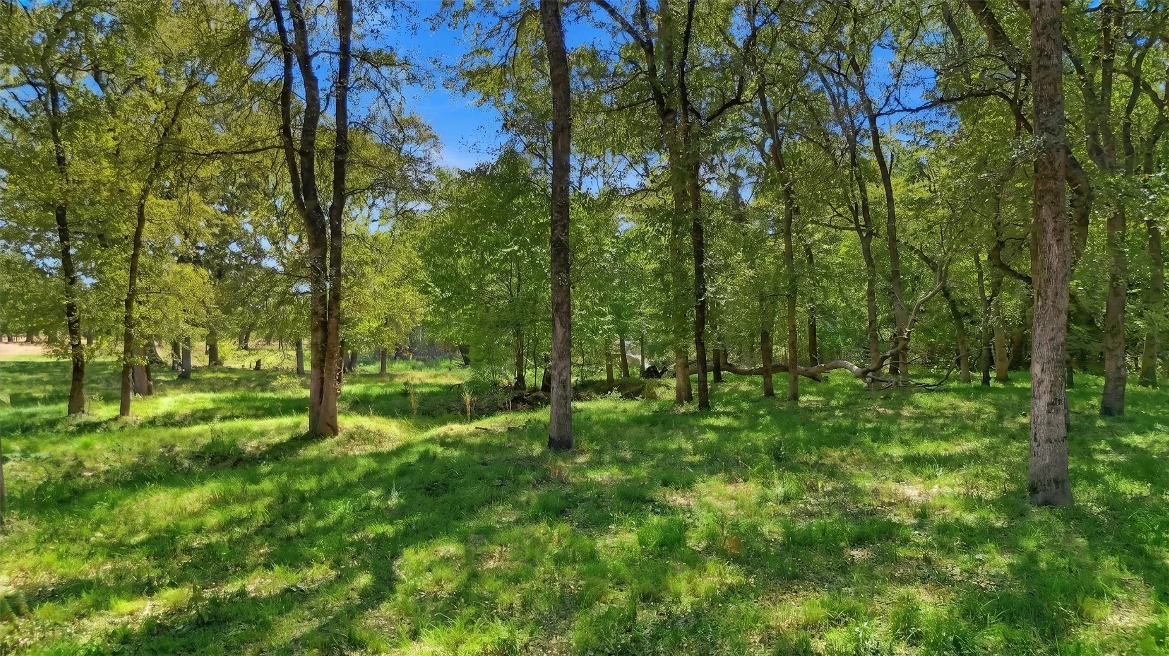 Ranch For Sale in Fannin County , 000 CR 1245, Savoy, Texas 75479, 0, 0, Garage spaces, 0 Sqft, built in 2017, mls#21388044, Real Estate Agent in Savoy, Homes For Sale in Fannin county, Homes For Sale in Savoy, Realtor in Savoy Texas, Real Estate Brokerage Independent Realty Texas, Luminita Cordes Realtor