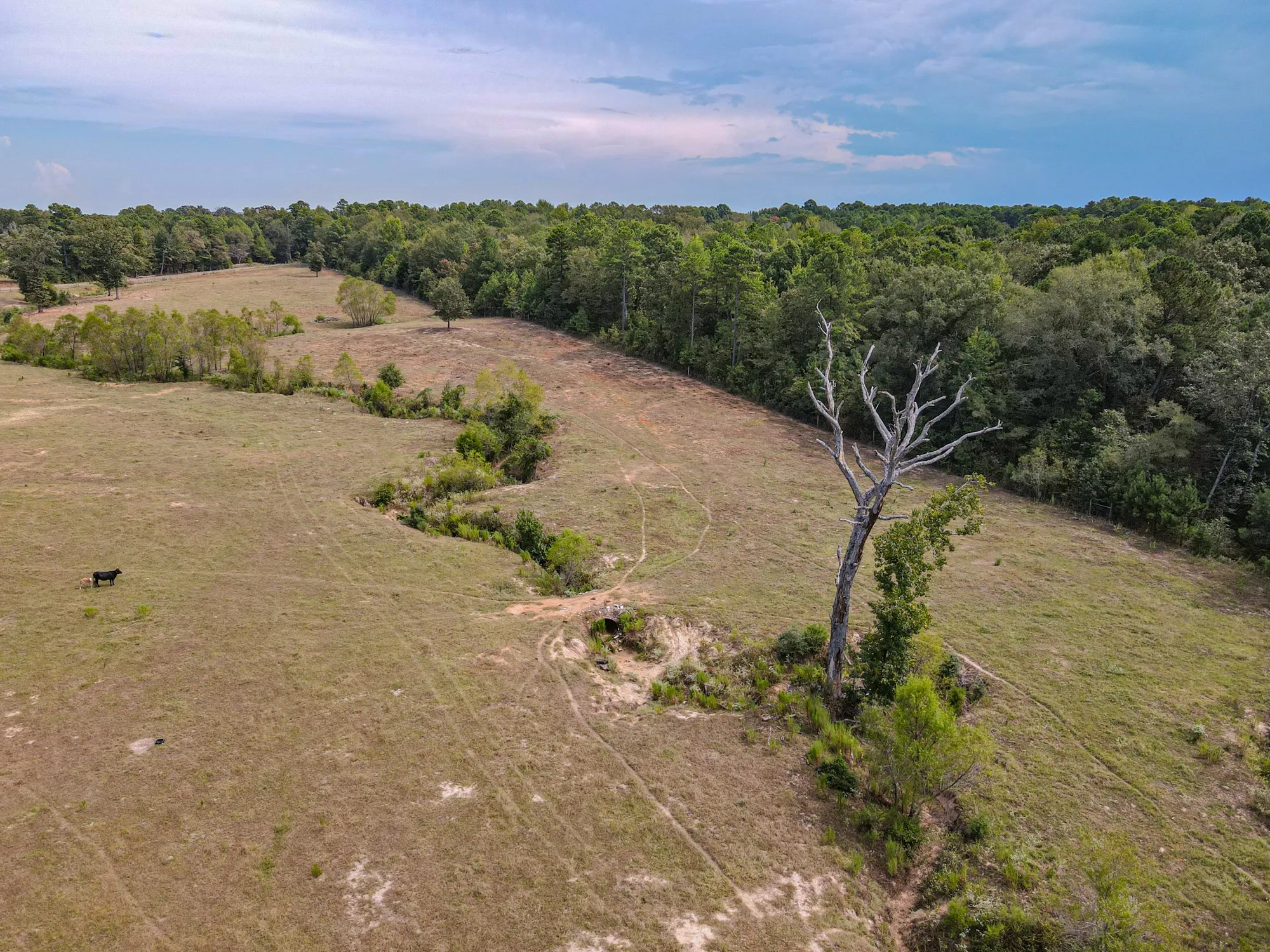 Single Family Residence For Sale in Harrison County , 2162 Blackburn Road, Diana, Texas 75640, 5 Bedroom, 2 Bathroom, Garage spaces, 2,364 Sqft, built in 1948, mls#21394470, Real Estate Agent in Diana, Homes For Sale in Harrison county, Homes For Sale in Diana, Realtor in Diana Texas, Real Estate Brokerage Independent Realty Texas, Luminita Cordes Realtor