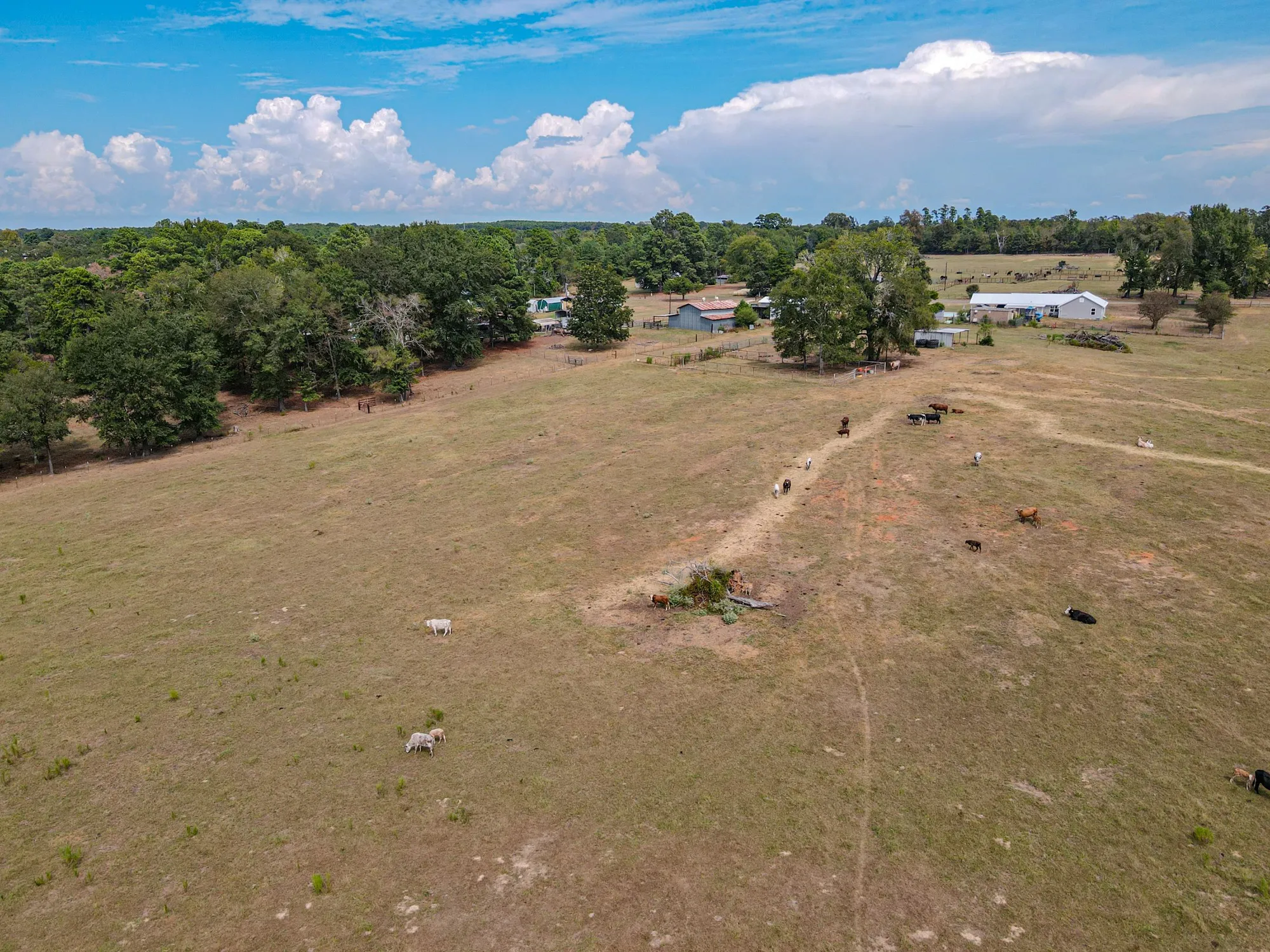 Single Family Residence For Sale in Harrison County , 2162 Blackburn Road, Diana, Texas 75640, 5 Bedroom, 2 Bathroom, Garage spaces, 2,364 Sqft, built in 1948, mls#21394470, Real Estate Agent in Diana, Homes For Sale in Harrison county, Homes For Sale in Diana, Realtor in Diana Texas, Real Estate Brokerage Independent Realty Texas, Luminita Cordes Realtor