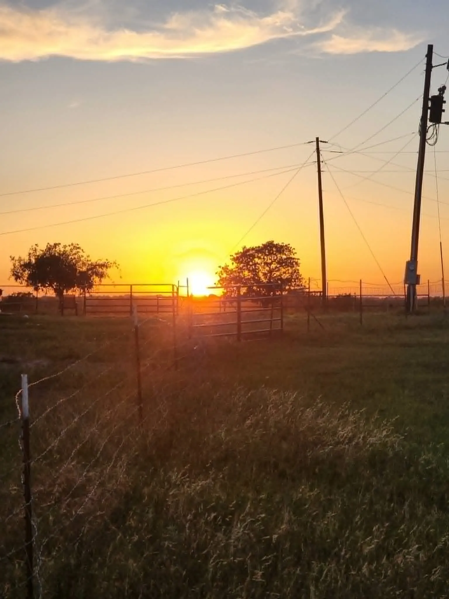 Single Family Residence For Sale in Erath County , 1220 County Road 373, Dublin, Texas 76446, 3 Bedroom, 2 Bathroom, Garage spaces, 1,675 Sqft, built in 2009, mls#21390580, Real Estate Agent in Dublin, Homes For Sale in Erath county, Homes For Sale in Dublin, Realtor in Dublin Texas, Real Estate Brokerage Independent Realty Texas, Luminita Cordes Realtor