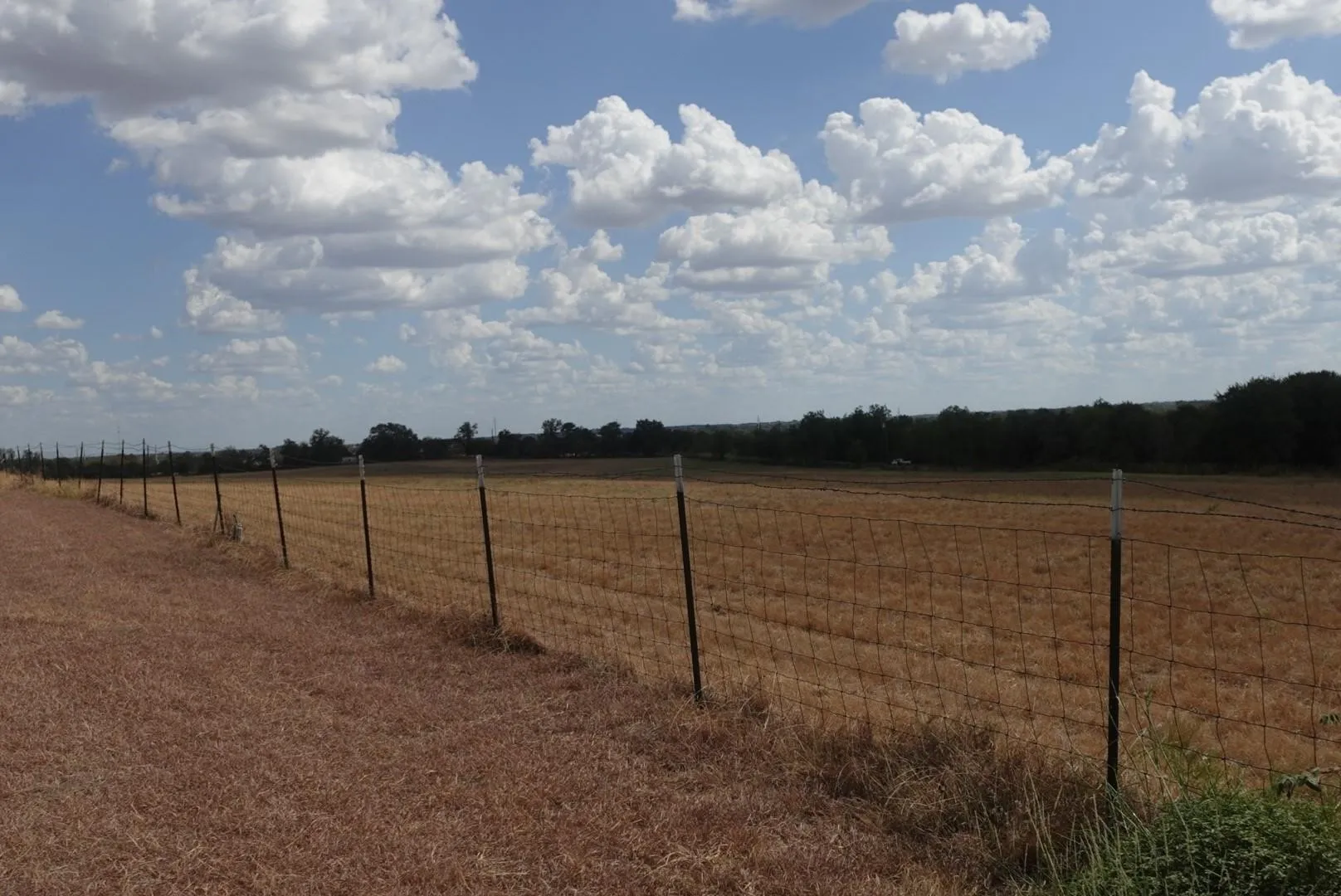 Single Family Residence For Sale in Erath County , 1220 County Road 373, Dublin, Texas 76446, 3 Bedroom, 2 Bathroom, Garage spaces, 1,675 Sqft, built in 2009, mls#21390580, Real Estate Agent in Dublin, Homes For Sale in Erath county, Homes For Sale in Dublin, Realtor in Dublin Texas, Real Estate Brokerage Independent Realty Texas, Luminita Cordes Realtor