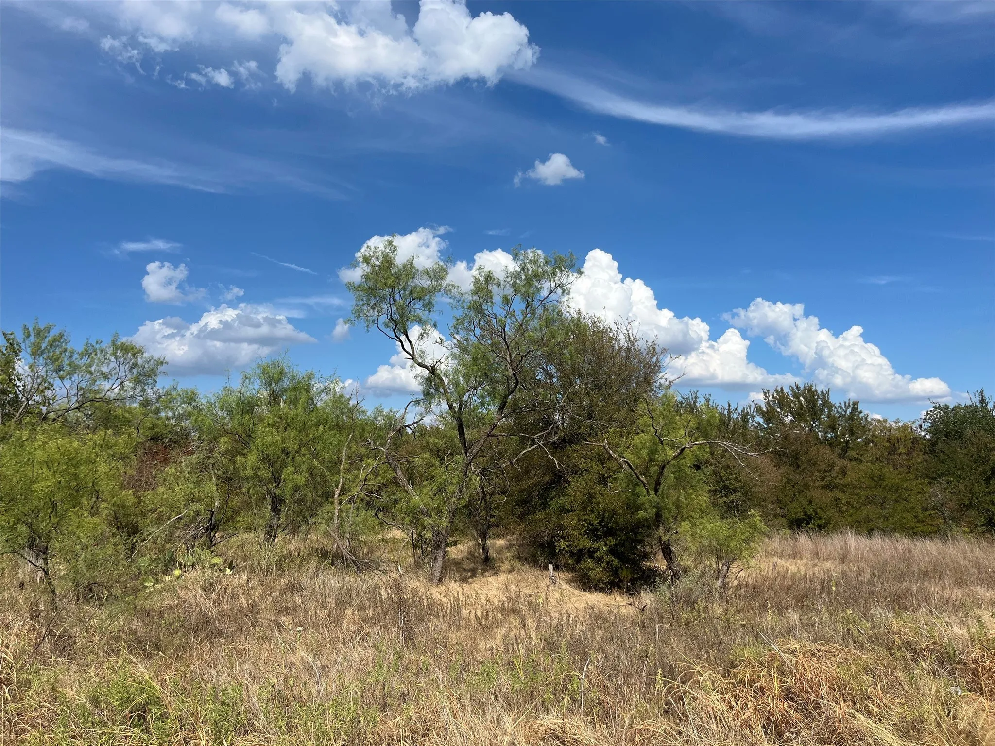 Unimproved Land For Sale in Wise County , Lot 65 Blk 7 Ringo Court, Runaway Bay, Texas 76426, 0, 0, Garage spaces, 0 Sqft, built in 0, mls#21394370, Real Estate Agent in Runaway Bay, Homes For Sale in Wise county, Homes For Sale in Runaway Bay, Realtor in Runaway Bay Texas, Real Estate Brokerage Independent Realty Texas, Luminita Cordes Realtor