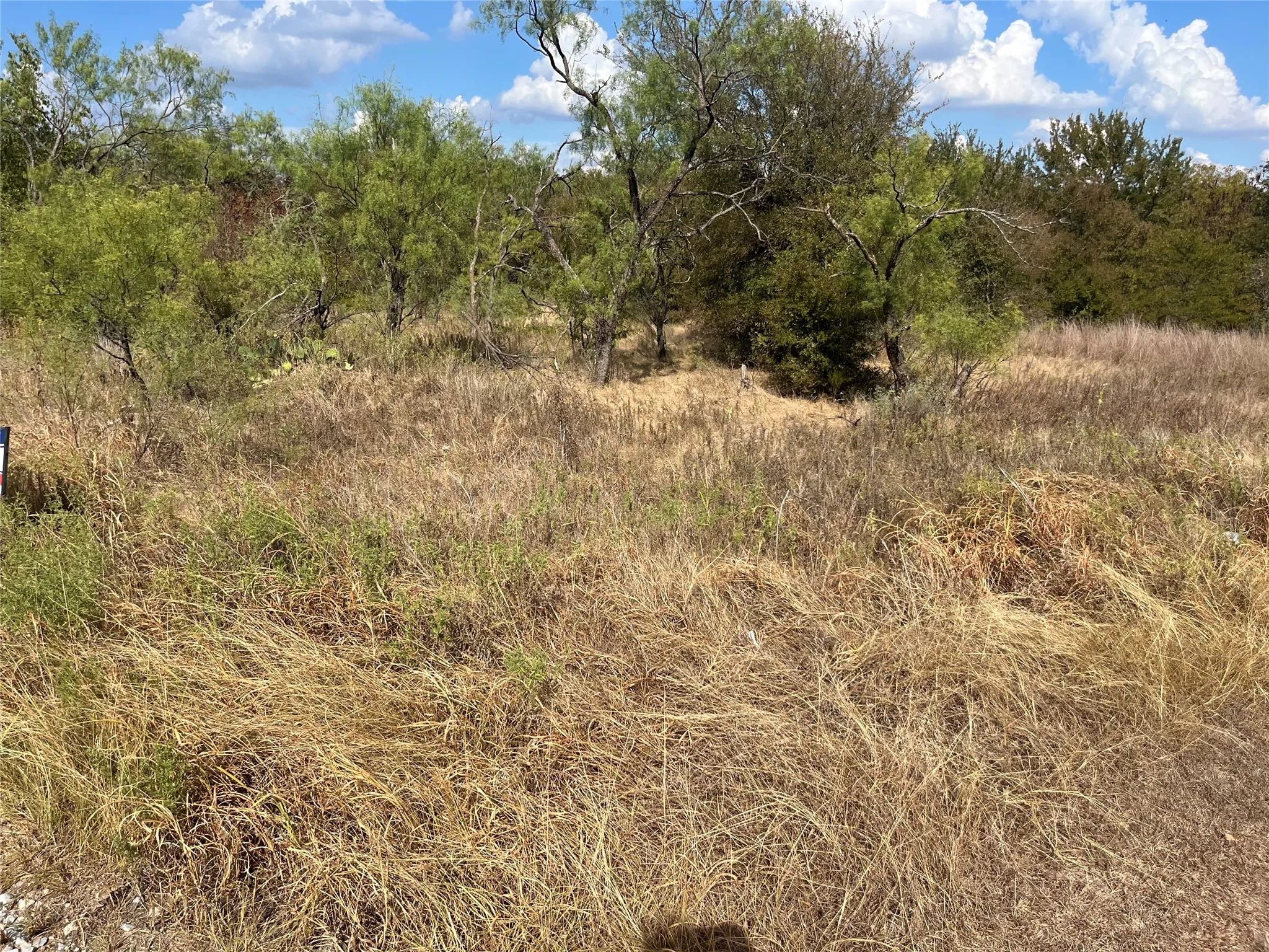 Unimproved Land For Sale in Wise County , Lot 65 Blk 7 Ringo Court, Runaway Bay, Texas 76426, 0, 0, Garage spaces, 0 Sqft, built in 0, mls#21394370, Real Estate Agent in Runaway Bay, Homes For Sale in Wise county, Homes For Sale in Runaway Bay, Realtor in Runaway Bay Texas, Real Estate Brokerage Independent Realty Texas, Luminita Cordes Realtor