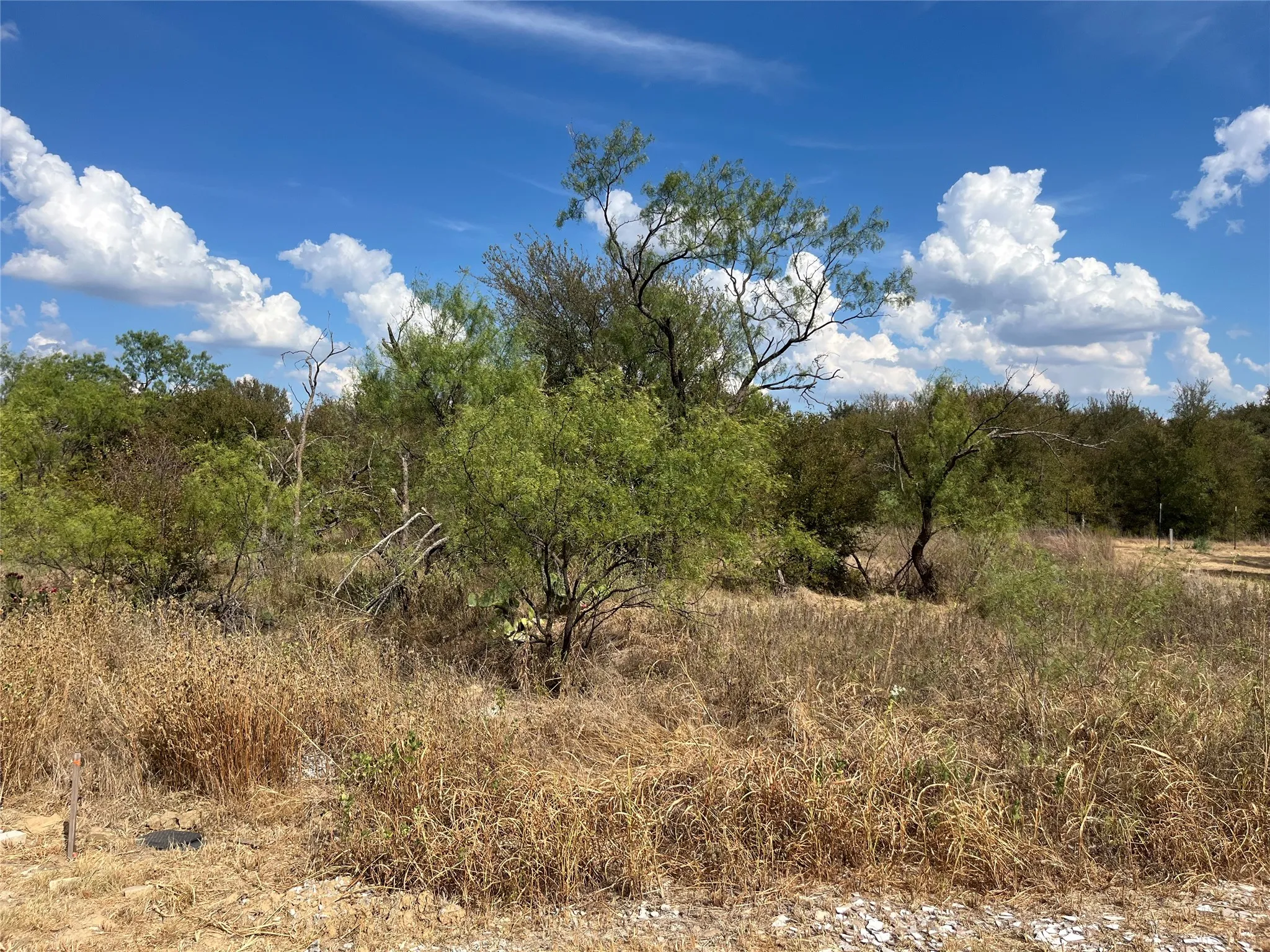 Unimproved Land For Sale in Wise County , Lot 65 Blk 7 Ringo Court, Runaway Bay, Texas 76426, 0, 0, Garage spaces, 0 Sqft, built in 0, mls#21394370, Real Estate Agent in Runaway Bay, Homes For Sale in Wise county, Homes For Sale in Runaway Bay, Realtor in Runaway Bay Texas, Real Estate Brokerage Independent Realty Texas, Luminita Cordes Realtor