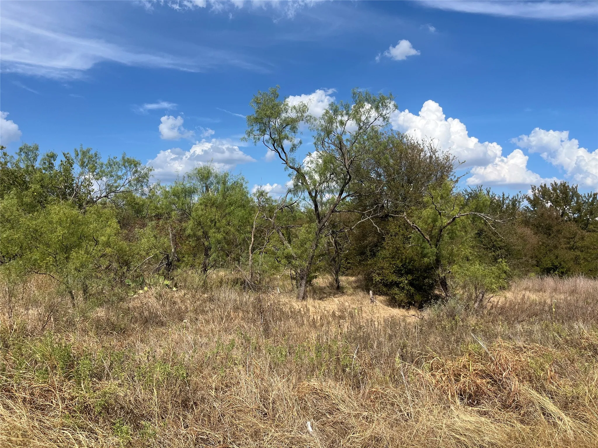 Unimproved Land For Sale in Wise County , Lot 65 Blk 7 Ringo Court, Runaway Bay, Texas 76426, 0, 0, Garage spaces, 0 Sqft, built in 0, mls#21394370, Real Estate Agent in Runaway Bay, Homes For Sale in Wise county, Homes For Sale in Runaway Bay, Realtor in Runaway Bay Texas, Real Estate Brokerage Independent Realty Texas, Luminita Cordes Realtor