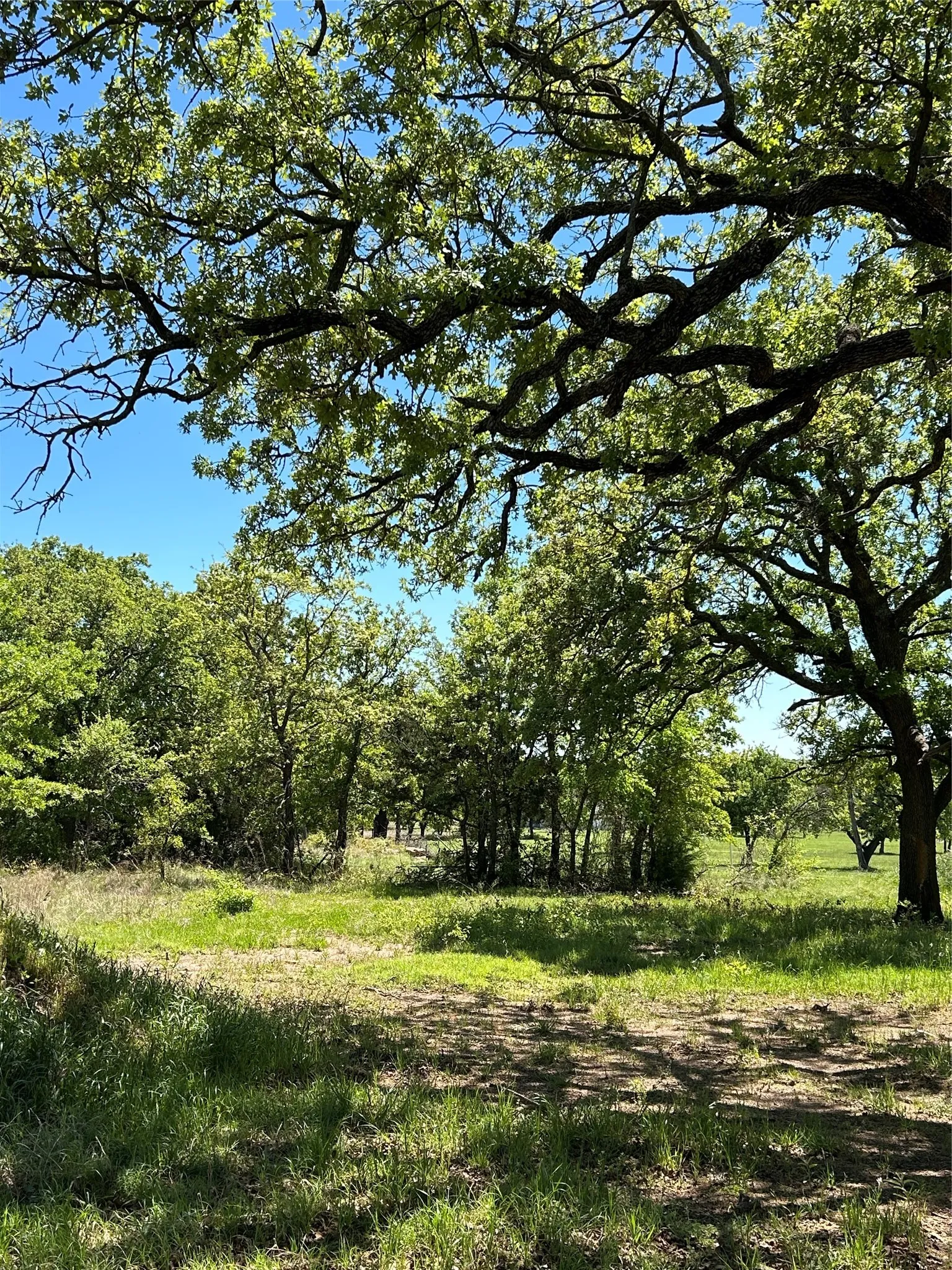 Unimproved Land For Sale in Montague County , 3270 Upper Montague Road, Bowie, Texas 76230, 0, 0, Garage spaces, 0 Sqft, built in 0, mls#21393557, Real Estate Agent in Bowie, Homes For Sale in Montague county, Homes For Sale in Bowie, Realtor in Bowie Texas, Real Estate Brokerage Independent Realty Texas, Luminita Cordes Realtor