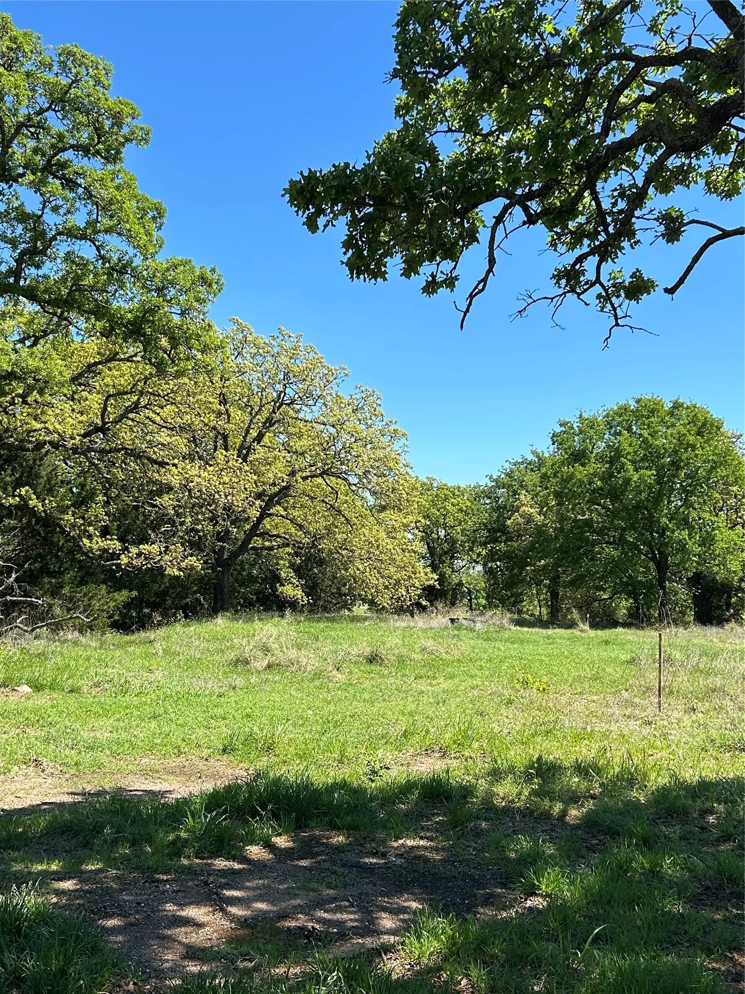 Unimproved Land For Sale in Montague County , 3270 Upper Montague Road, Bowie, Texas 76230, 0, 0, Garage spaces, 0 Sqft, built in 0, mls#21393557, Real Estate Agent in Bowie, Homes For Sale in Montague county, Homes For Sale in Bowie, Realtor in Bowie Texas, Real Estate Brokerage Independent Realty Texas, Luminita Cordes Realtor