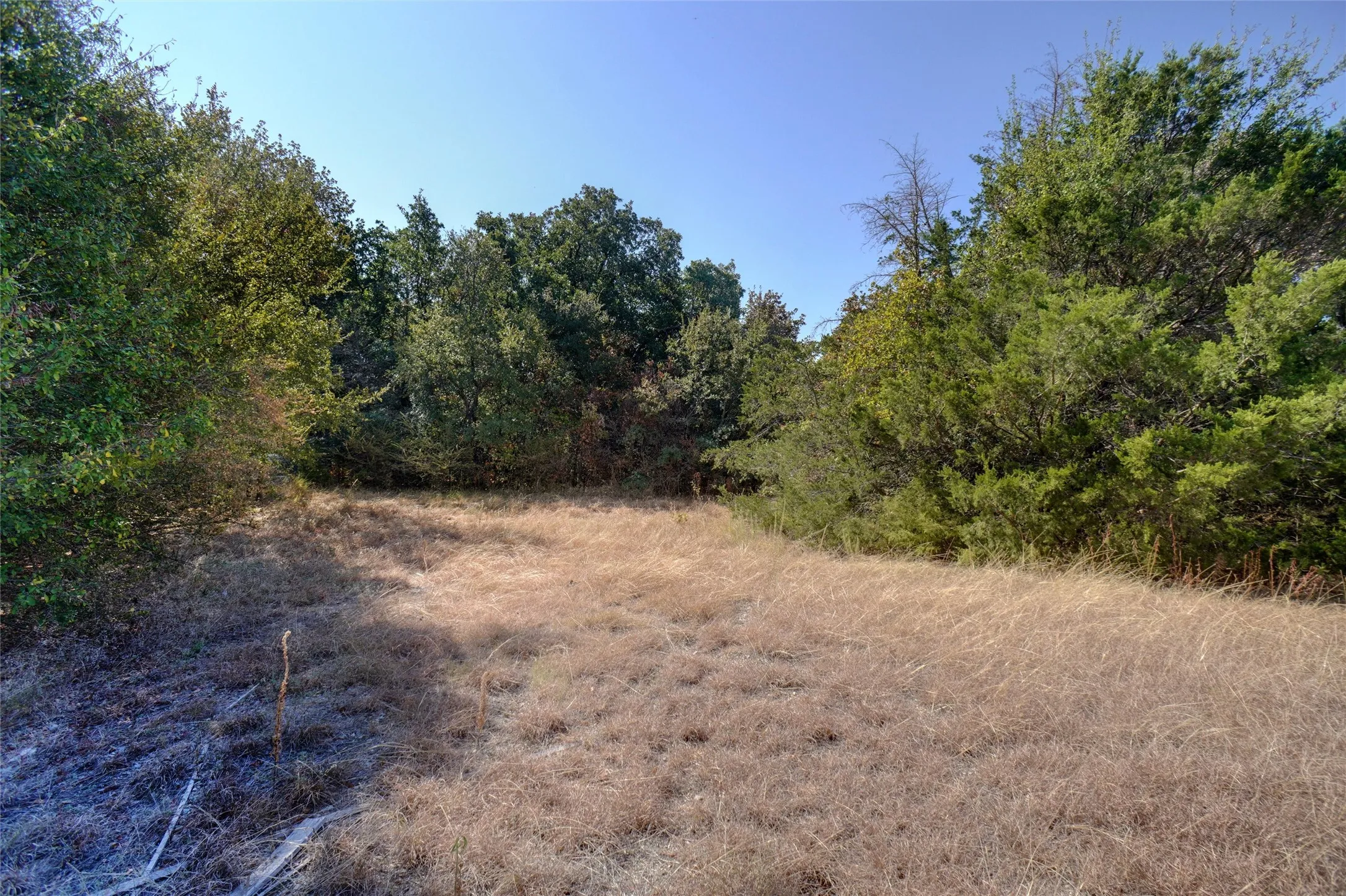 Unimproved Land For Sale in Wise County , 0 Willbanks, Boyd, Texas 76023, 0, 0, Garage spaces, 0 Sqft, built in 0, mls#21394502, Real Estate Agent in Boyd, Homes For Sale in Wise county, Homes For Sale in Boyd, Realtor in Boyd Texas, Real Estate Brokerage Independent Realty Texas, Luminita Cordes Realtor
