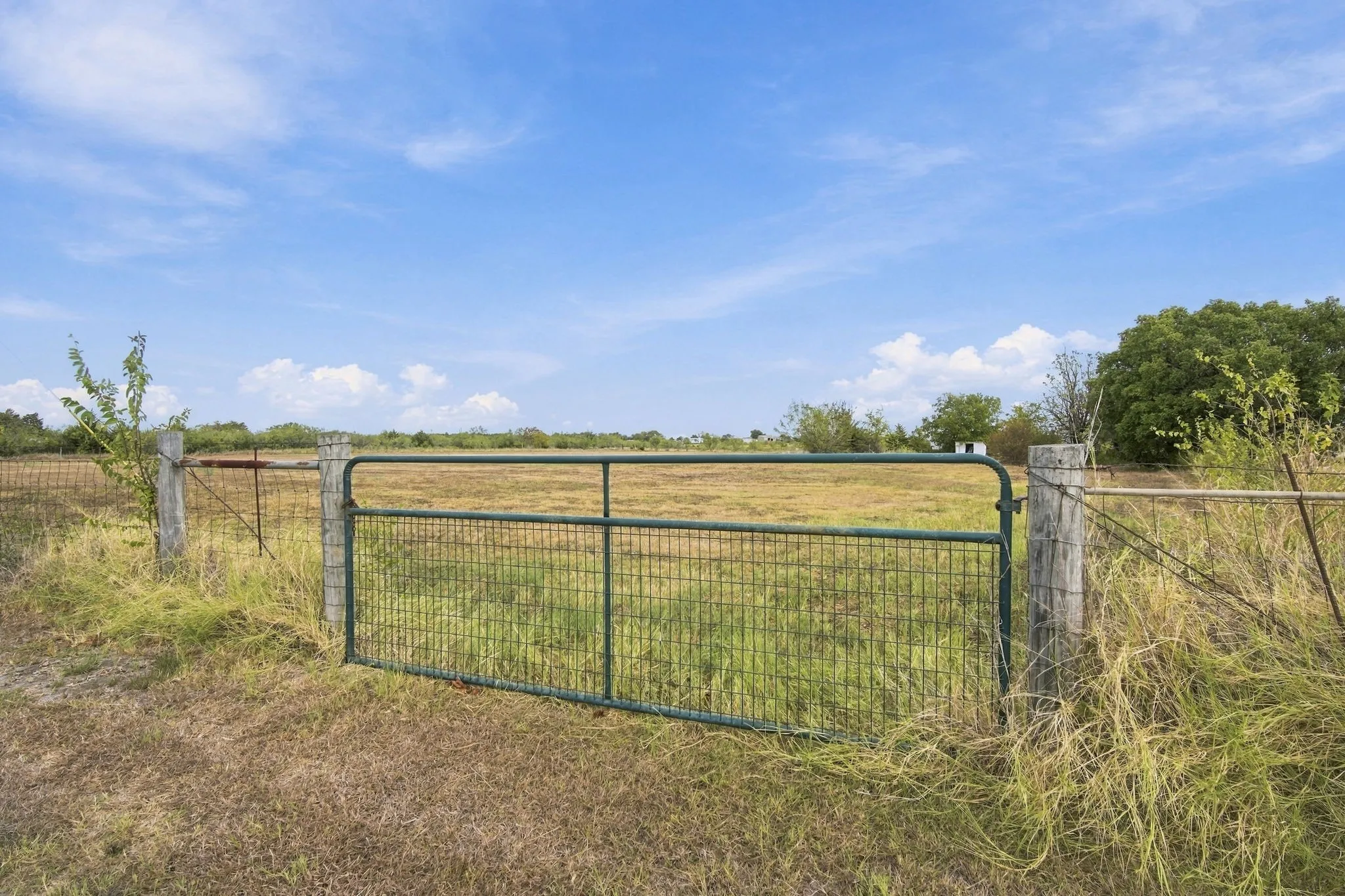 Unimproved Land For Sale in Ellis County , 0000 FM 1181 Road, Ennis, Texas 75119, 0, 0, Garage spaces, 0 Sqft, built in 0, mls#21389880, Real Estate Agent in Ennis, Homes For Sale in Ellis county, Homes For Sale in Ennis, Realtor in Ennis Texas, Real Estate Brokerage Independent Realty Texas, Luminita Cordes Realtor