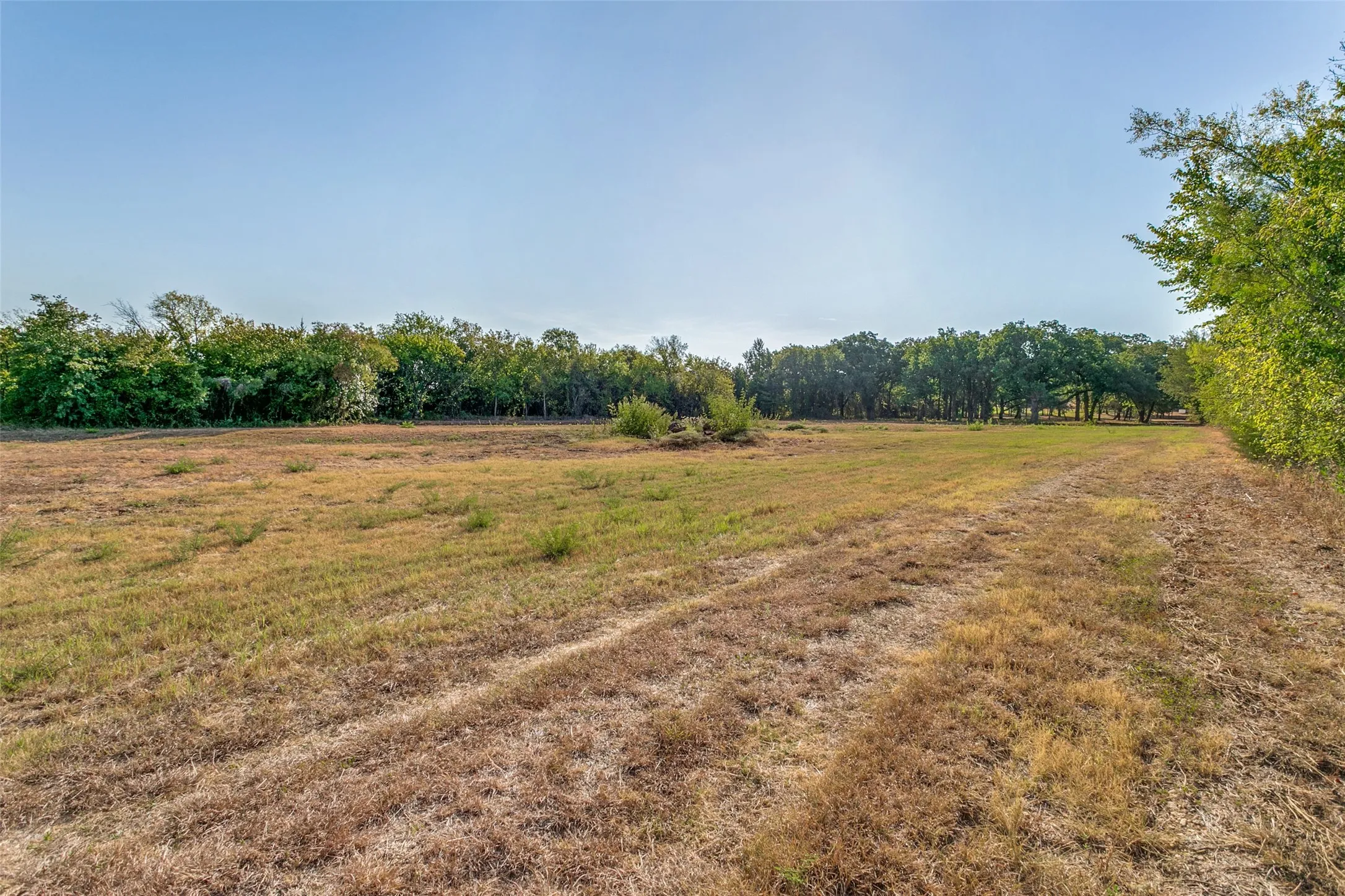 Unimproved Land For Sale in Johnson County , 10812 County Road 1020, Burleson, Texas 76028, 0, 0, Garage spaces, 0 Sqft, built in 0, mls#21393723, Real Estate Agent in Burleson, Homes For Sale in Johnson county, Homes For Sale in Burleson, Realtor in Burleson Texas, Real Estate Brokerage Independent Realty Texas, Luminita Cordes Realtor