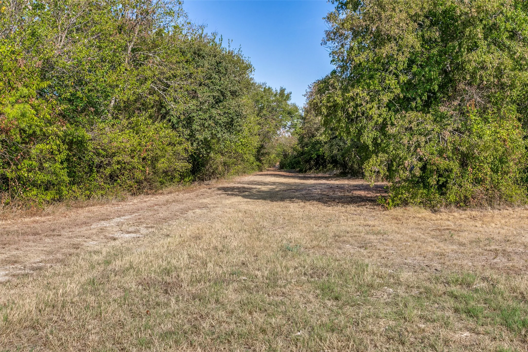 Unimproved Land For Sale in Johnson County , 10812 County Road 1020, Burleson, Texas 76028, 0, 0, Garage spaces, 0 Sqft, built in 0, mls#21393723, Real Estate Agent in Burleson, Homes For Sale in Johnson county, Homes For Sale in Burleson, Realtor in Burleson Texas, Real Estate Brokerage Independent Realty Texas, Luminita Cordes Realtor