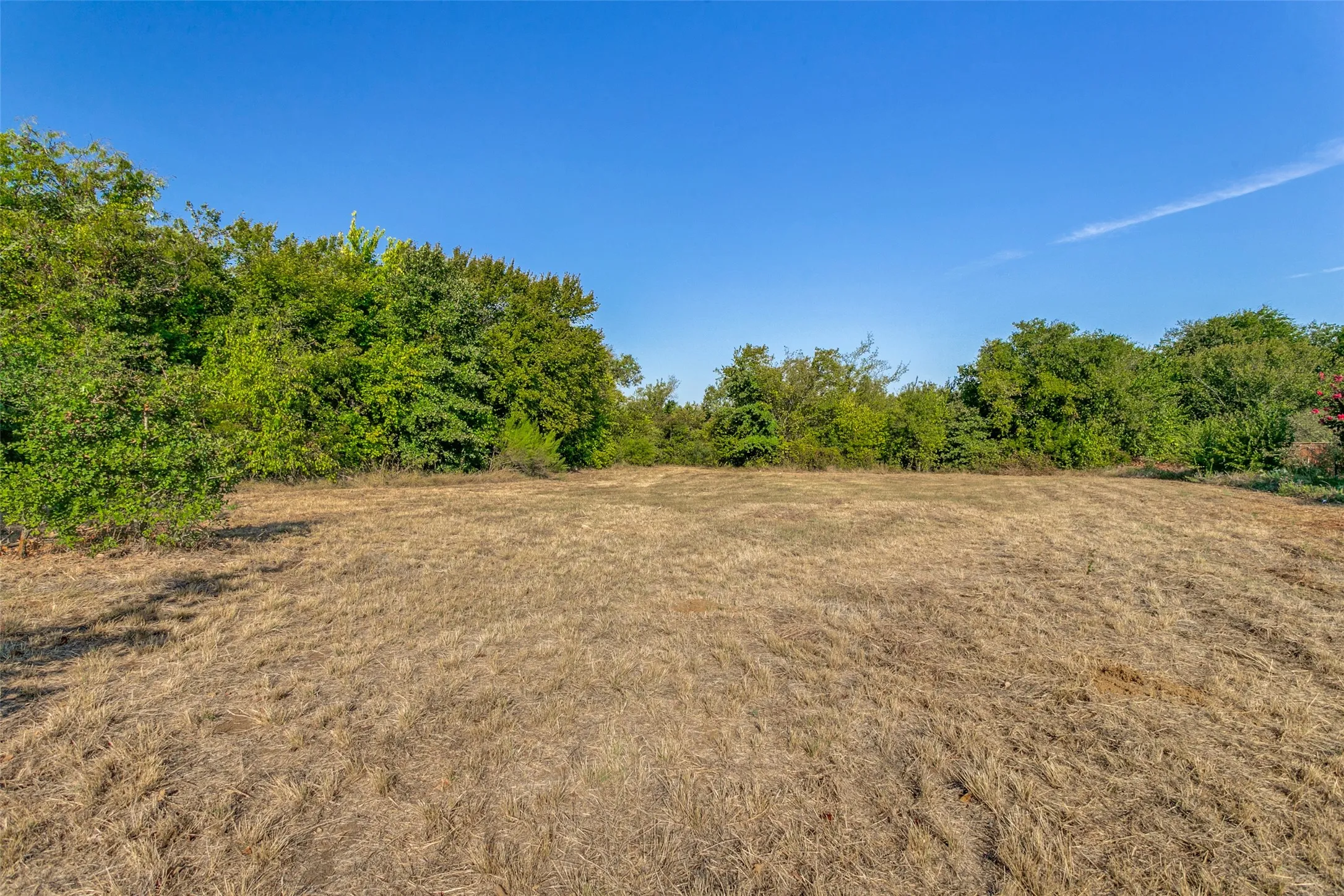 Unimproved Land For Sale in Johnson County , 10812 County Road 1020, Burleson, Texas 76028, 0, 0, Garage spaces, 0 Sqft, built in 0, mls#21393723, Real Estate Agent in Burleson, Homes For Sale in Johnson county, Homes For Sale in Burleson, Realtor in Burleson Texas, Real Estate Brokerage Independent Realty Texas, Luminita Cordes Realtor