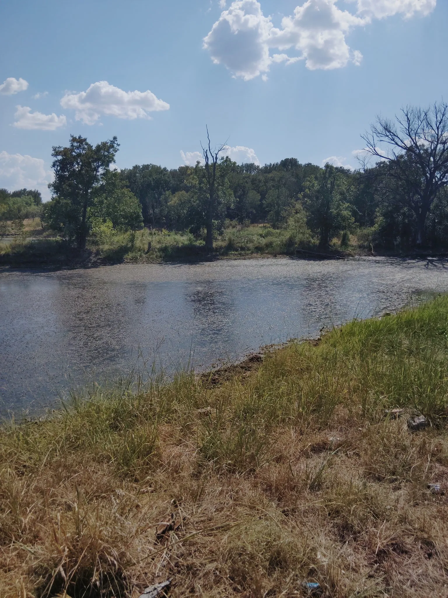 Unimproved Land For Sale in Montague County , 0000 FM 1125, Bowie, Texas 76230, 0, 0, Garage spaces, 0 Sqft, built in 2023, mls#21394570, Real Estate Agent in Bowie, Homes For Sale in Montague county, Homes For Sale in Bowie, Realtor in Bowie Texas, Real Estate Brokerage Independent Realty Texas, Luminita Cordes Realtor
