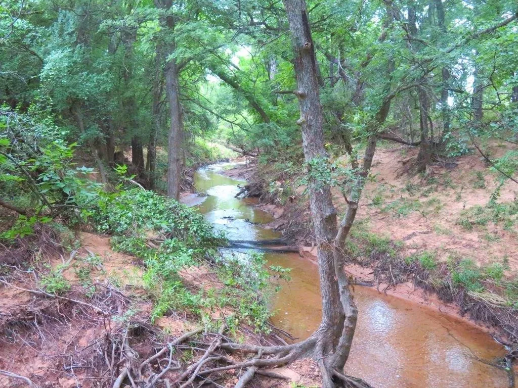 Unimproved Land For Sale in Montague County , 0000 FM 1125, Bowie, Texas 76230, 0, 0, Garage spaces, 0 Sqft, built in 2023, mls#21394570, Real Estate Agent in Bowie, Homes For Sale in Montague county, Homes For Sale in Bowie, Realtor in Bowie Texas, Real Estate Brokerage Independent Realty Texas, Luminita Cordes Realtor