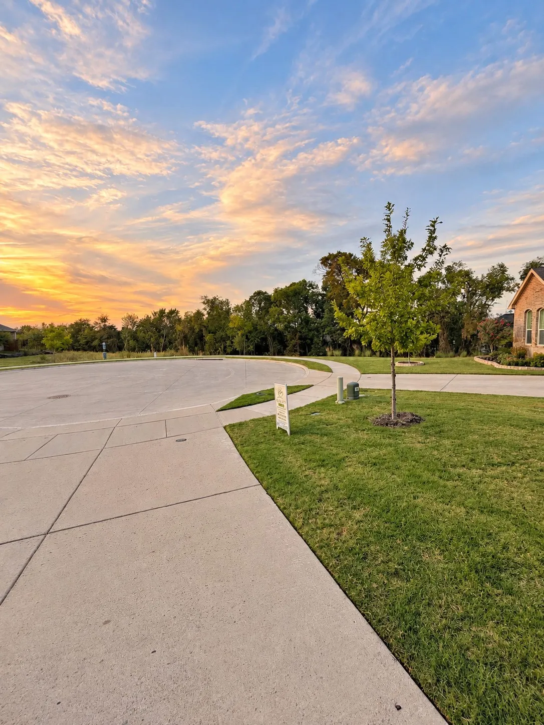 Manicured lawn with mature tree, concrete sidewalk, and curved driveway