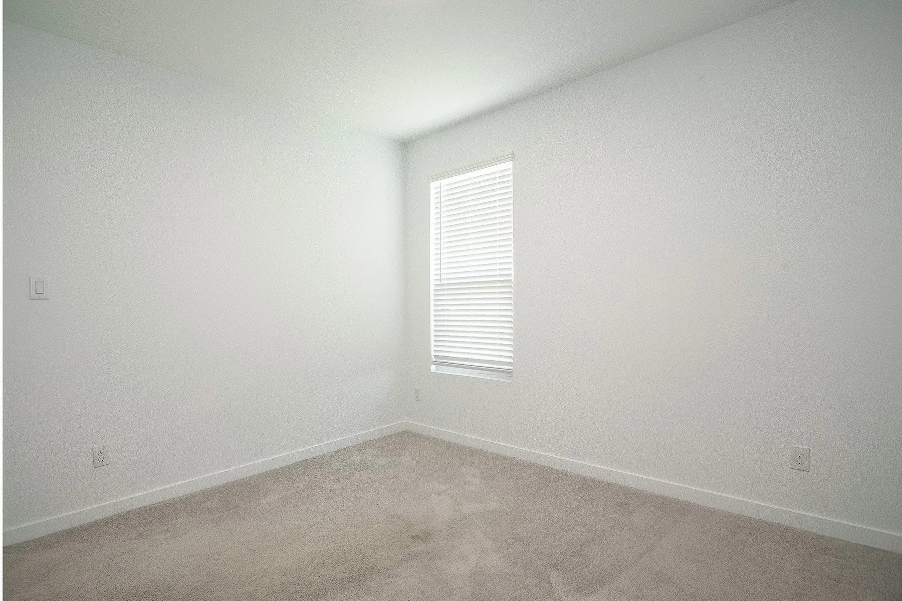 Neutral-toned carpeting with white walls and a single window featuring horizontal blinds