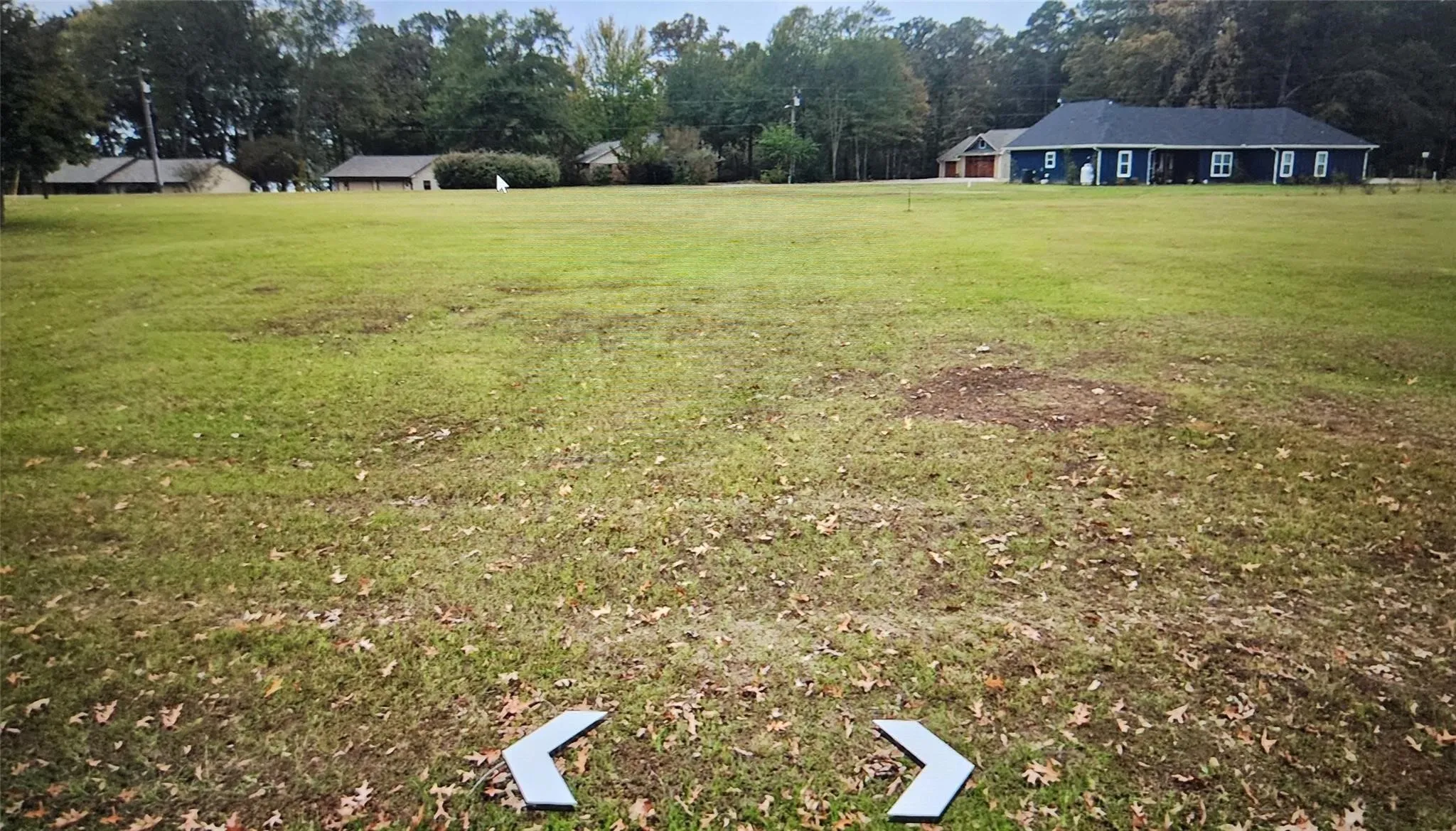 Expansive grassy lot with scattered deciduous trees