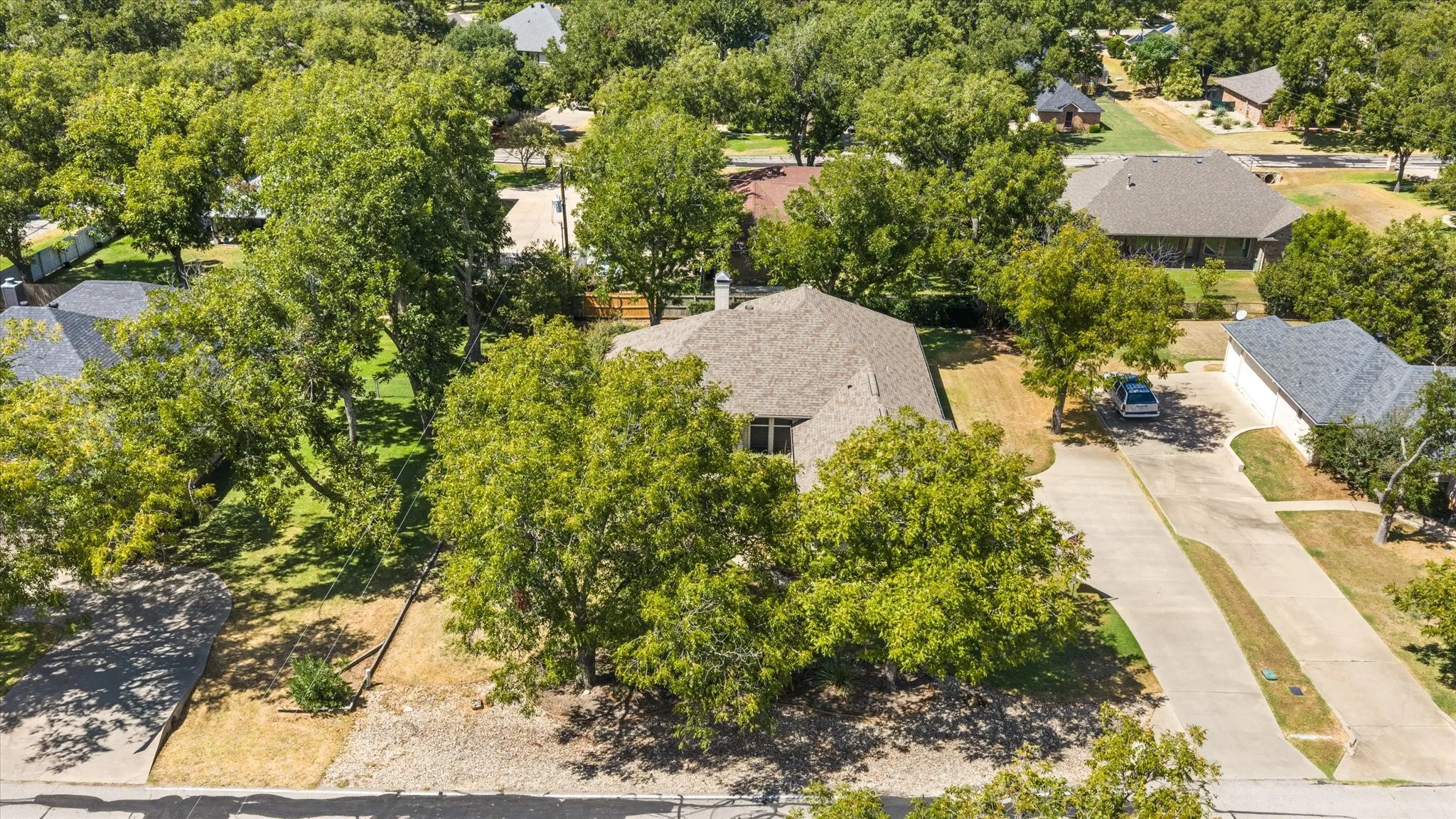 Expansive property featuring a mature tree canopy, sloped roofline, and a paved driveway