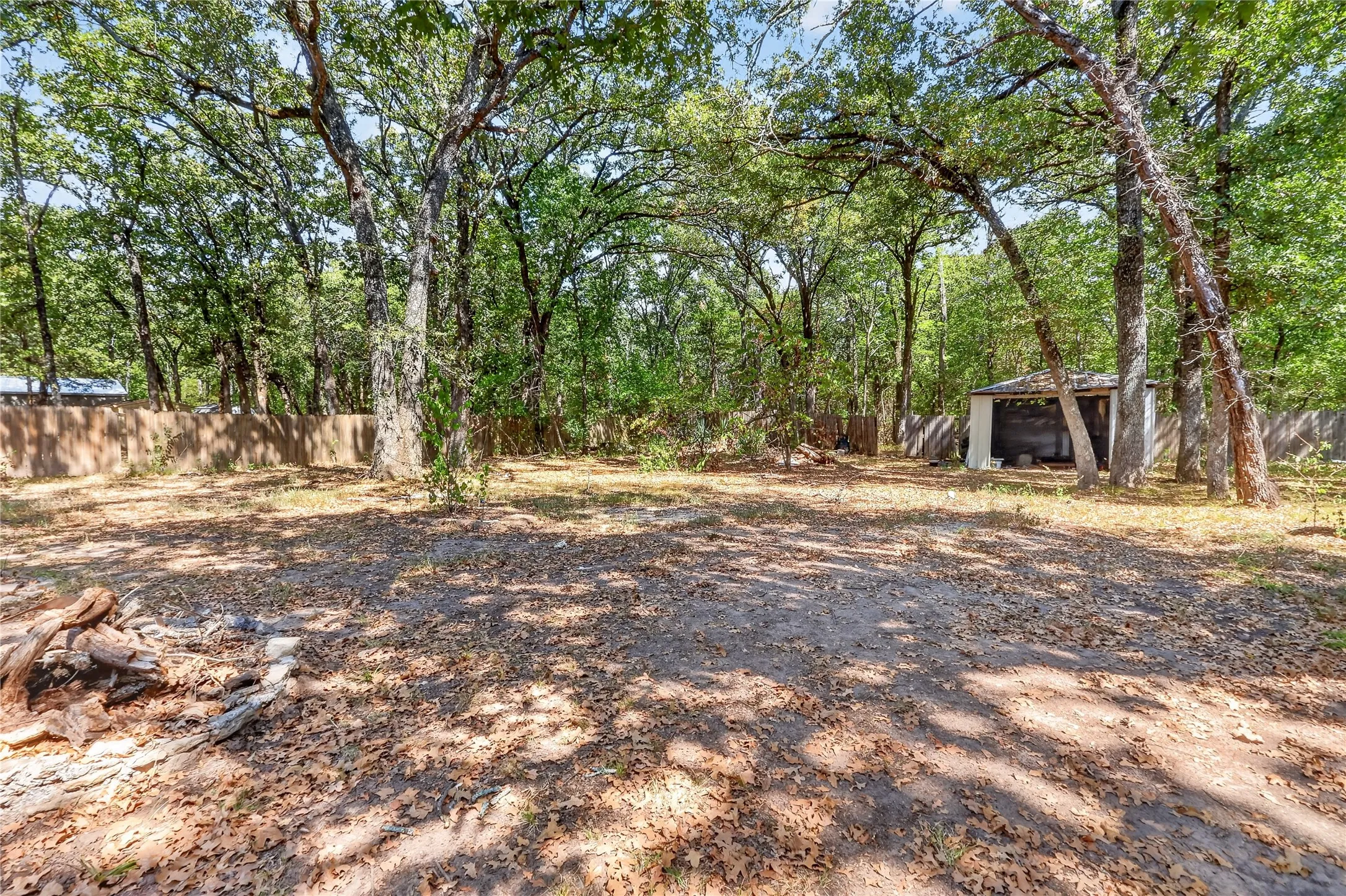 Expansive outdoor space featuring mature trees, a privacy fence, and a storage shed