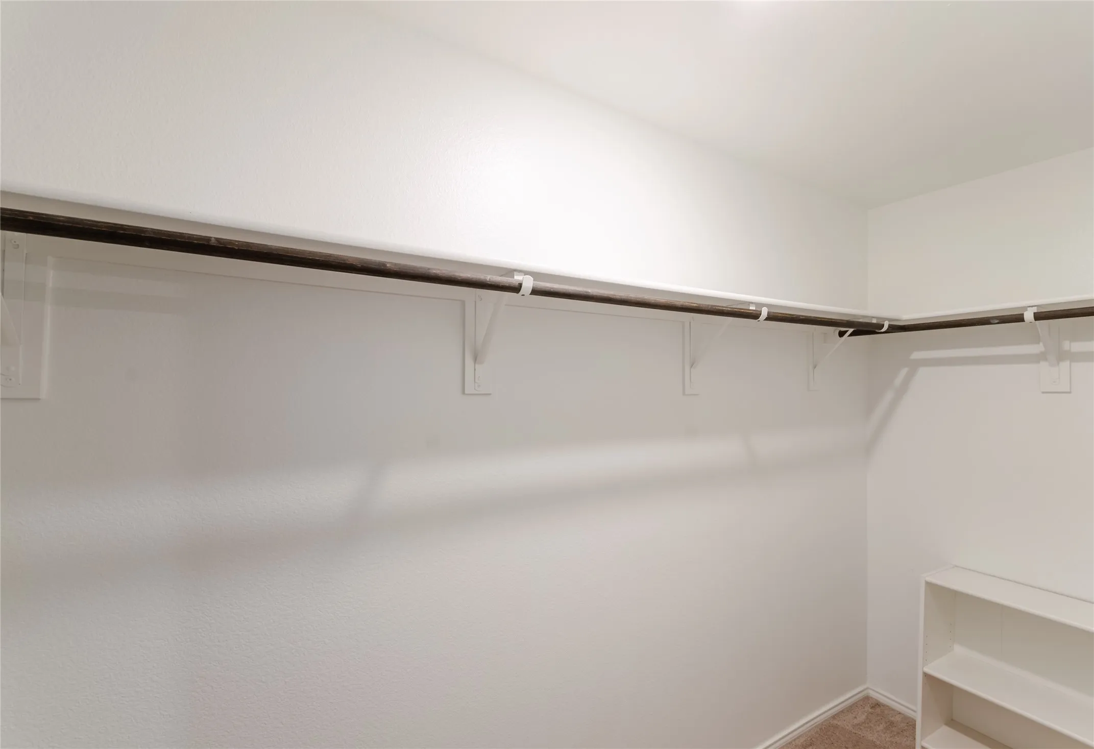 Large Walk-In Primary Closet