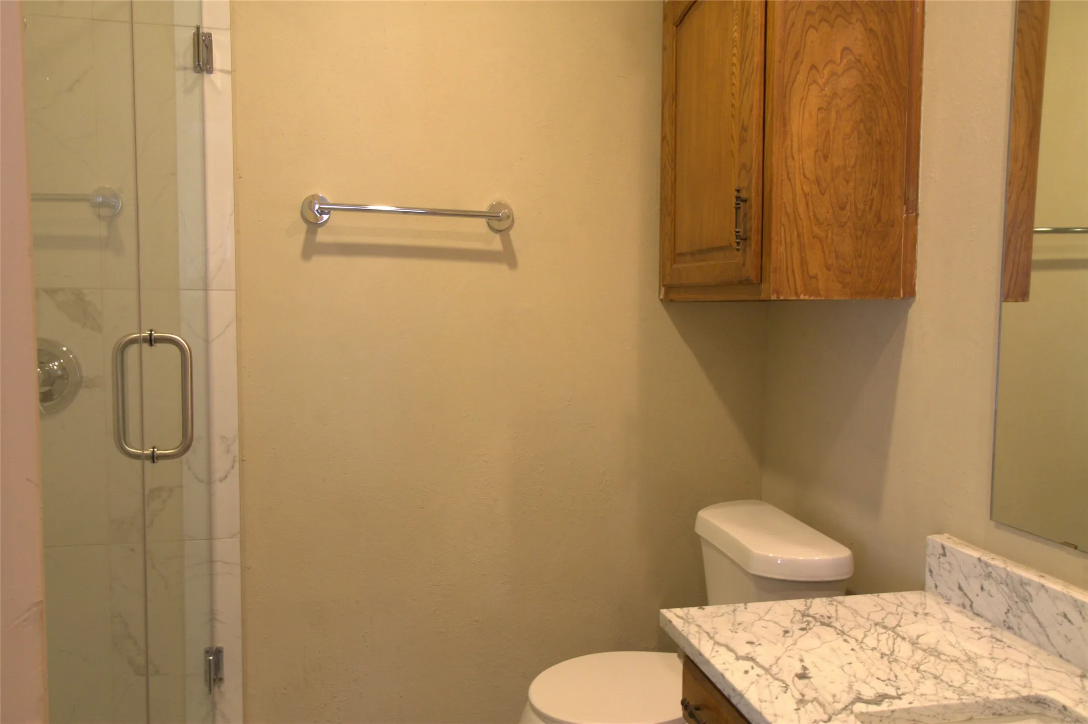 Glass-enclosed shower with chrome hardware, wood-finish overhead cabinetry, and a countertop with integrated sink