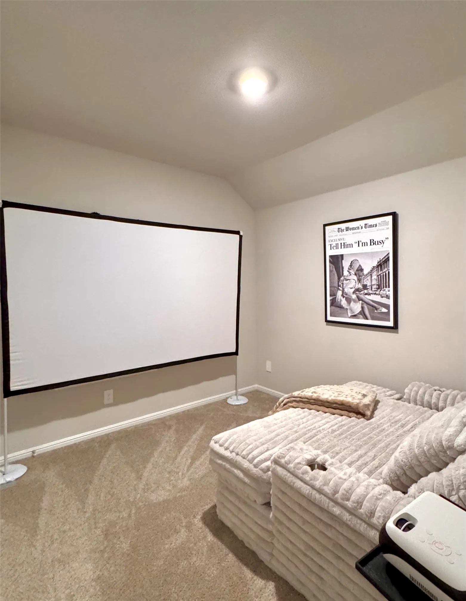 3rd Bedroom used as Theatre room