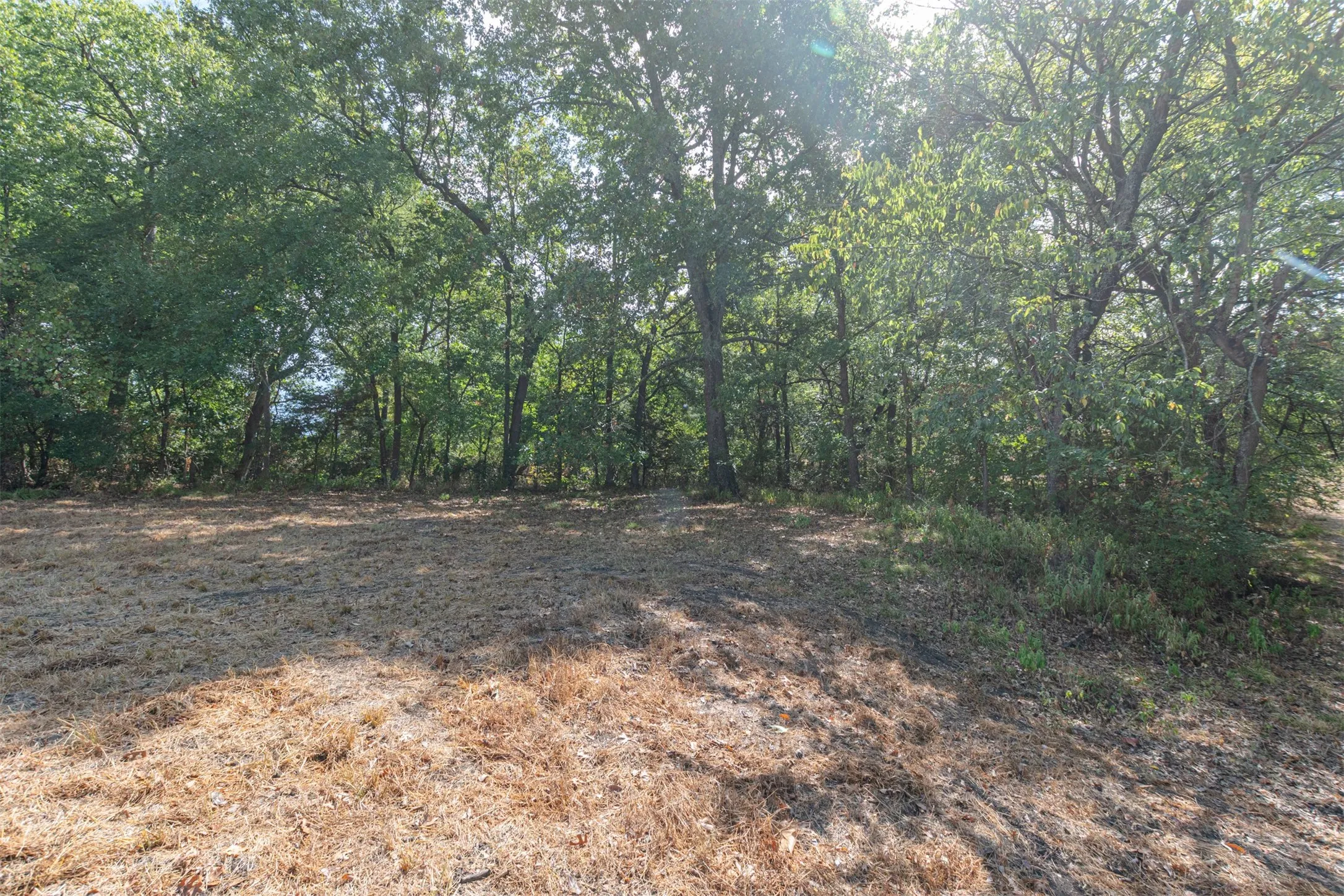Unimproved Land For Sale in Hunt County , TBD County Road 3226, Lone Oak, Texas 75453, 0, 0, Garage spaces, 0 Sqft, built in 0, mls#21394627, Real Estate Agent in Lone Oak, Homes For Sale in Hunt county, Homes For Sale in Lone Oak, Realtor in Lone Oak Texas, Real Estate Brokerage Independent Realty Texas, Luminita Cordes Realtor