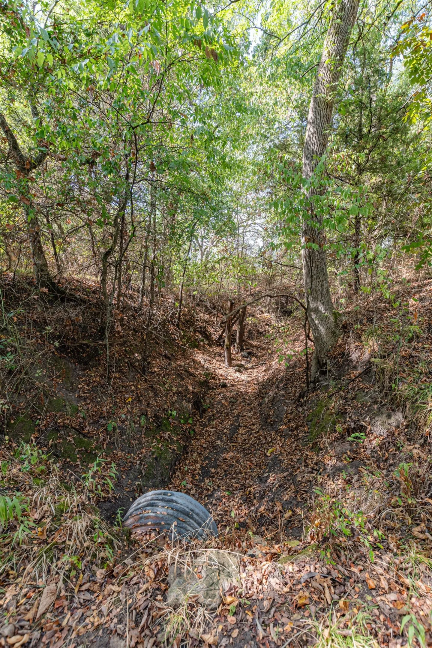 Unimproved Land For Sale in Hunt County , TBD County Road 3226, Lone Oak, Texas 75453, 0, 0, Garage spaces, 0 Sqft, built in 0, mls#21394627, Real Estate Agent in Lone Oak, Homes For Sale in Hunt county, Homes For Sale in Lone Oak, Realtor in Lone Oak Texas, Real Estate Brokerage Independent Realty Texas, Luminita Cordes Realtor