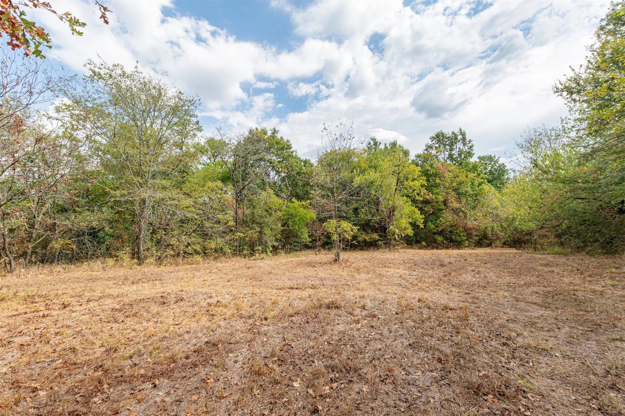 Unimproved Land For Sale in Hunt County , TBD County Road 3226, Lone Oak, Texas 75453, 0, 0, Garage spaces, 0 Sqft, built in 0, mls#21394627, Real Estate Agent in Lone Oak, Homes For Sale in Hunt county, Homes For Sale in Lone Oak, Realtor in Lone Oak Texas, Real Estate Brokerage Independent Realty Texas, Luminita Cordes Realtor