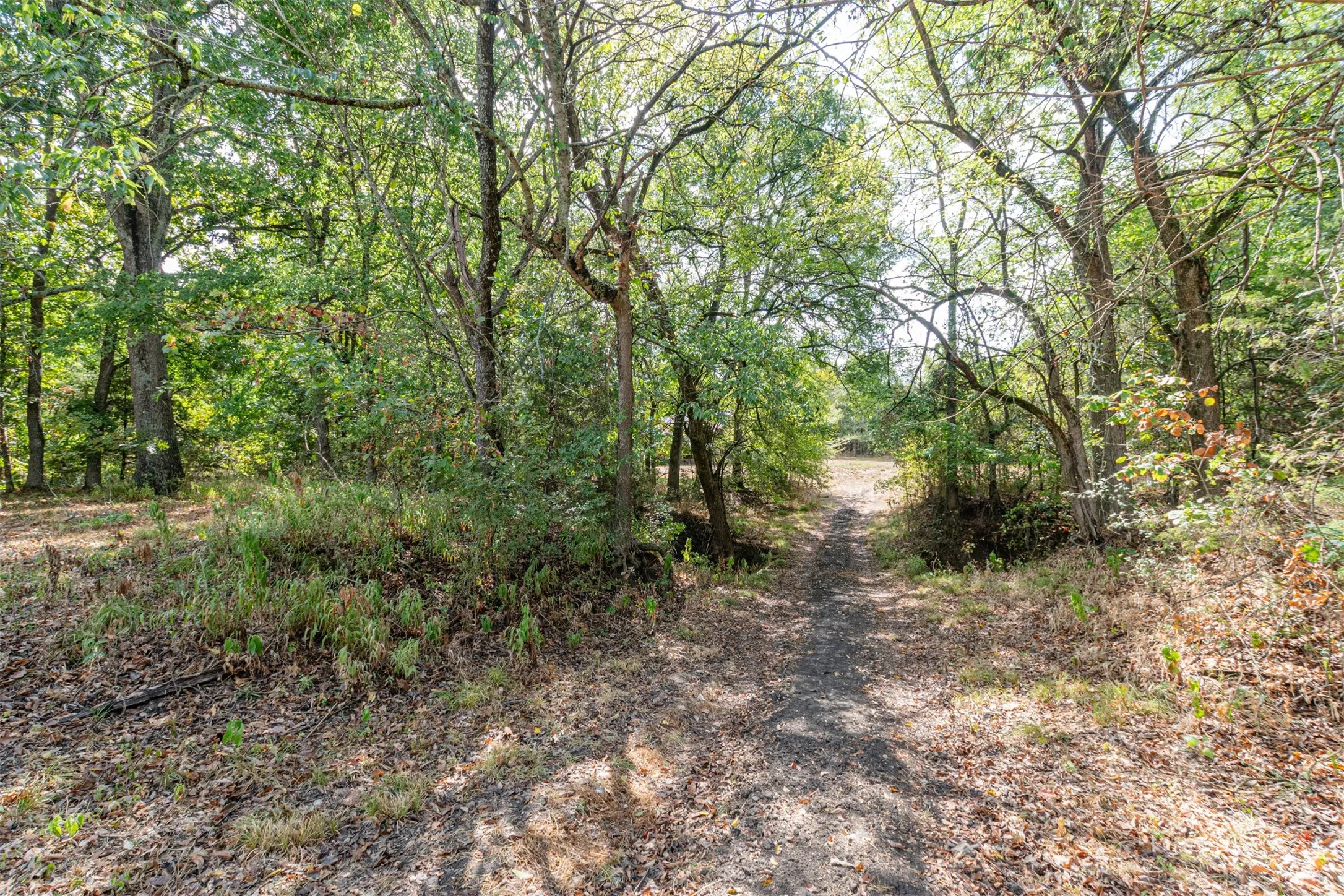 Unimproved Land For Sale in Hunt County , TBD County Road 3226, Lone Oak, Texas 75453, 0, 0, Garage spaces, 0 Sqft, built in 0, mls#21394627, Real Estate Agent in Lone Oak, Homes For Sale in Hunt county, Homes For Sale in Lone Oak, Realtor in Lone Oak Texas, Real Estate Brokerage Independent Realty Texas, Luminita Cordes Realtor