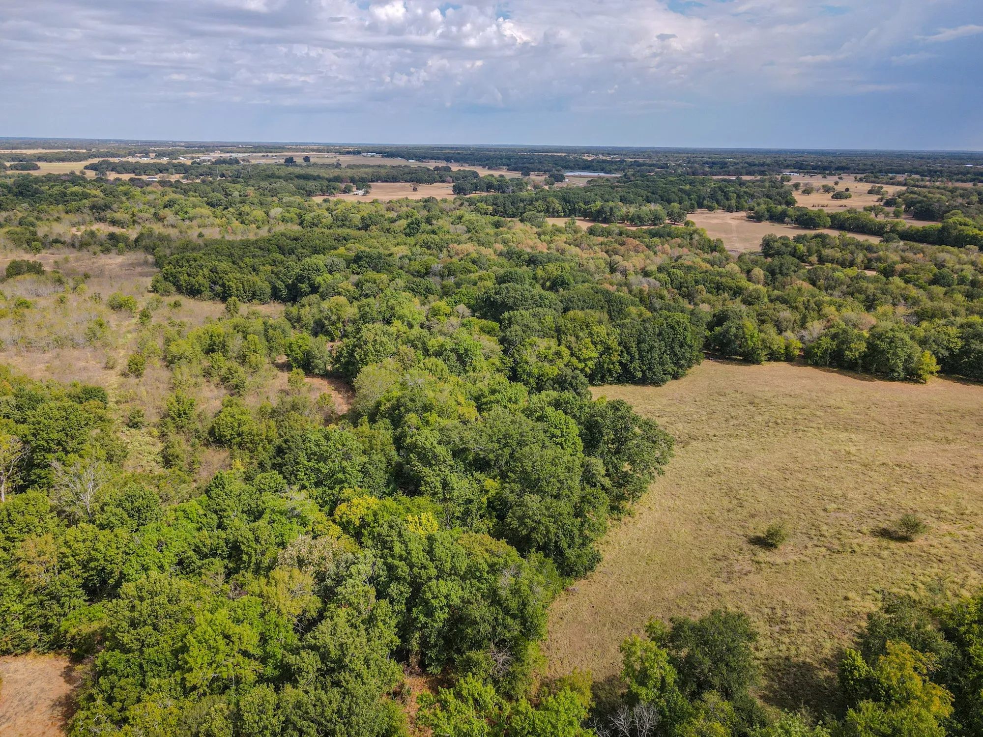 Unimproved Land For Sale in Hunt County , TBD County Road 3226, Lone Oak, Texas 75453, 0, 0, Garage spaces, 0 Sqft, built in 0, mls#21394627, Real Estate Agent in Lone Oak, Homes For Sale in Hunt county, Homes For Sale in Lone Oak, Realtor in Lone Oak Texas, Real Estate Brokerage Independent Realty Texas, Luminita Cordes Realtor