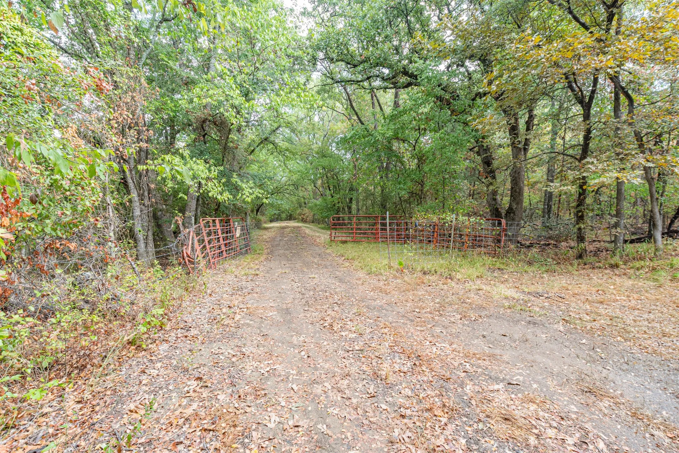 Unimproved Land For Sale in Hunt County , TBD County Road 3226, Lone Oak, Texas 75453, 0, 0, Garage spaces, 0 Sqft, built in 0, mls#21394627, Real Estate Agent in Lone Oak, Homes For Sale in Hunt county, Homes For Sale in Lone Oak, Realtor in Lone Oak Texas, Real Estate Brokerage Independent Realty Texas, Luminita Cordes Realtor