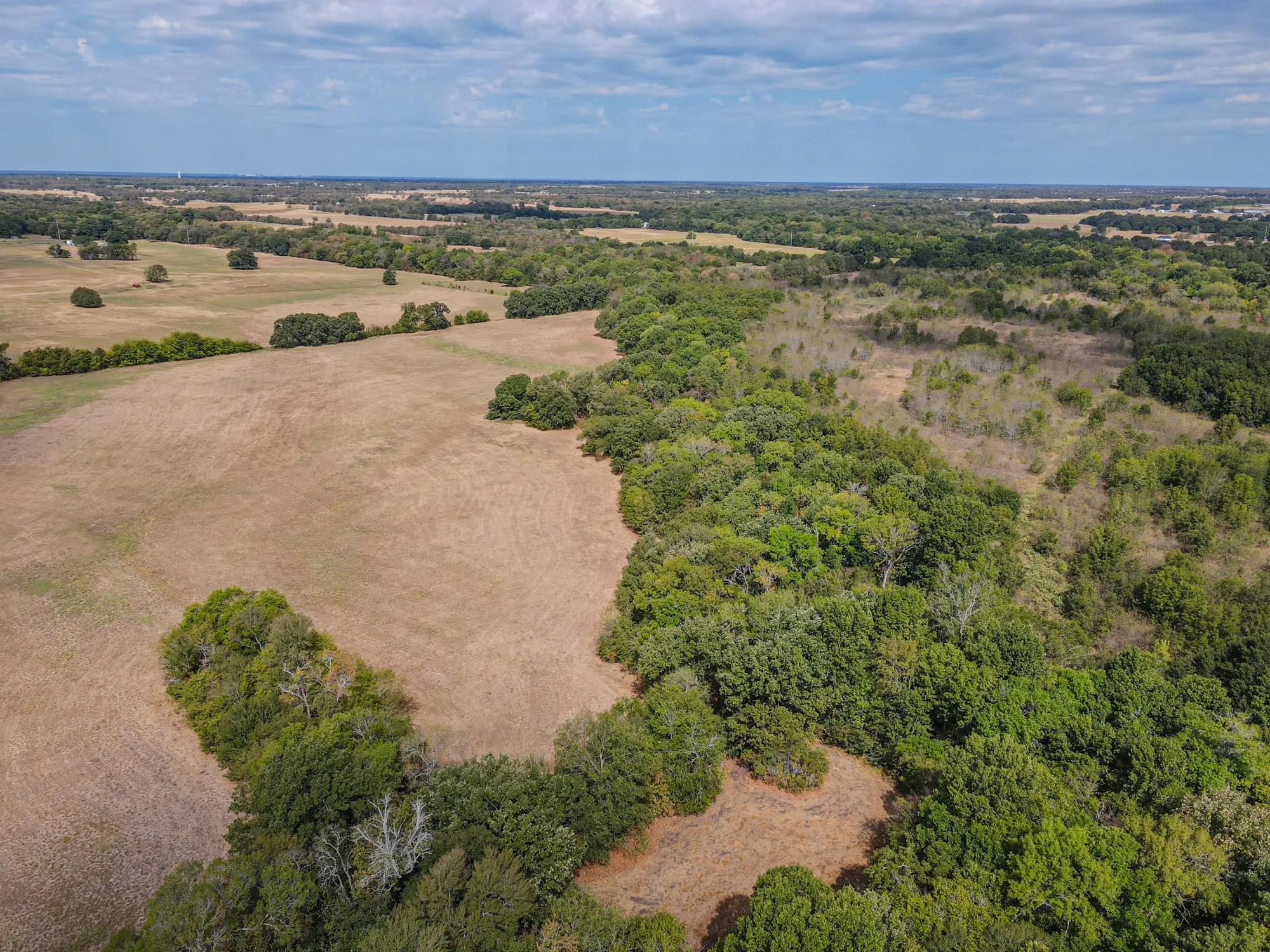 Unimproved Land For Sale in Hunt County , TBD County Road 3226, Lone Oak, Texas 75453, 0, 0, Garage spaces, 0 Sqft, built in 0, mls#21394627, Real Estate Agent in Lone Oak, Homes For Sale in Hunt county, Homes For Sale in Lone Oak, Realtor in Lone Oak Texas, Real Estate Brokerage Independent Realty Texas, Luminita Cordes Realtor