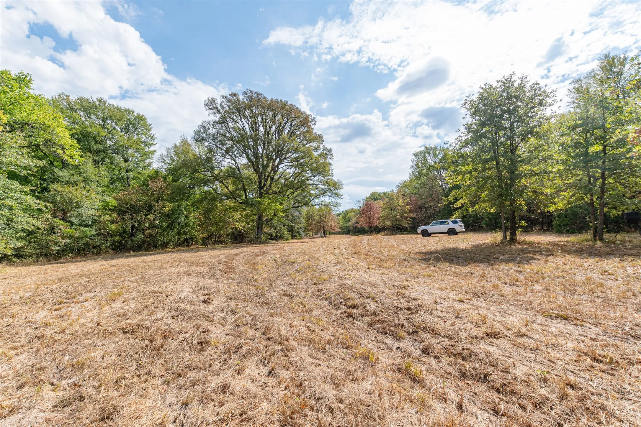 Unimproved Land For Sale in Hunt County , TBD County Road 3226, Lone Oak, Texas 75453, 0, 0, Garage spaces, 0 Sqft, built in 0, mls#21394627, Real Estate Agent in Lone Oak, Homes For Sale in Hunt county, Homes For Sale in Lone Oak, Realtor in Lone Oak Texas, Real Estate Brokerage Independent Realty Texas, Luminita Cordes Realtor