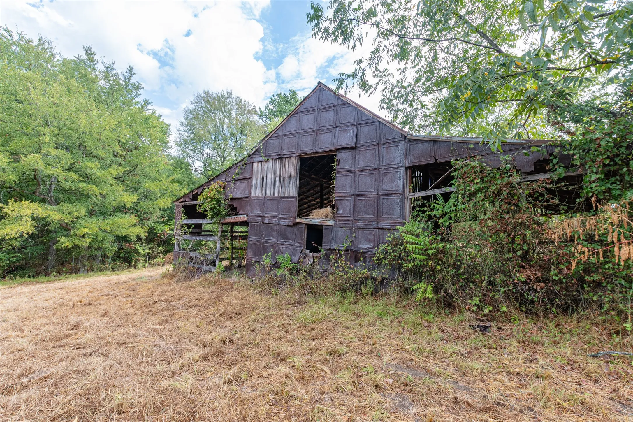 Unimproved Land For Sale in Hunt County , TBD County Road 3226, Lone Oak, Texas 75453, 0, 0, Garage spaces, 0 Sqft, built in 0, mls#21394627, Real Estate Agent in Lone Oak, Homes For Sale in Hunt county, Homes For Sale in Lone Oak, Realtor in Lone Oak Texas, Real Estate Brokerage Independent Realty Texas, Luminita Cordes Realtor