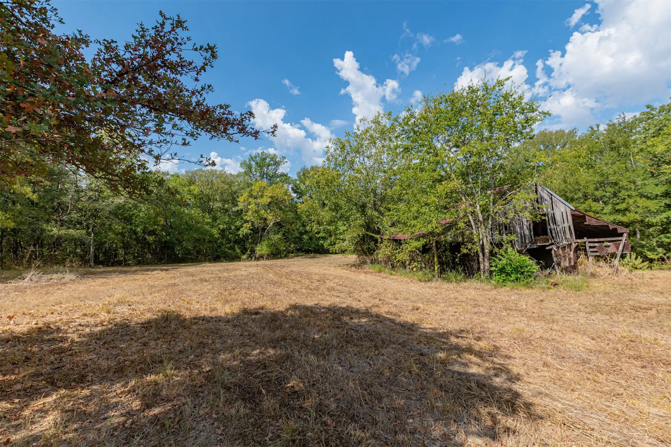Unimproved Land For Sale in Hunt County , TBD County Road 3226, Lone Oak, Texas 75453, 0, 0, Garage spaces, 0 Sqft, built in 0, mls#21394627, Real Estate Agent in Lone Oak, Homes For Sale in Hunt county, Homes For Sale in Lone Oak, Realtor in Lone Oak Texas, Real Estate Brokerage Independent Realty Texas, Luminita Cordes Realtor