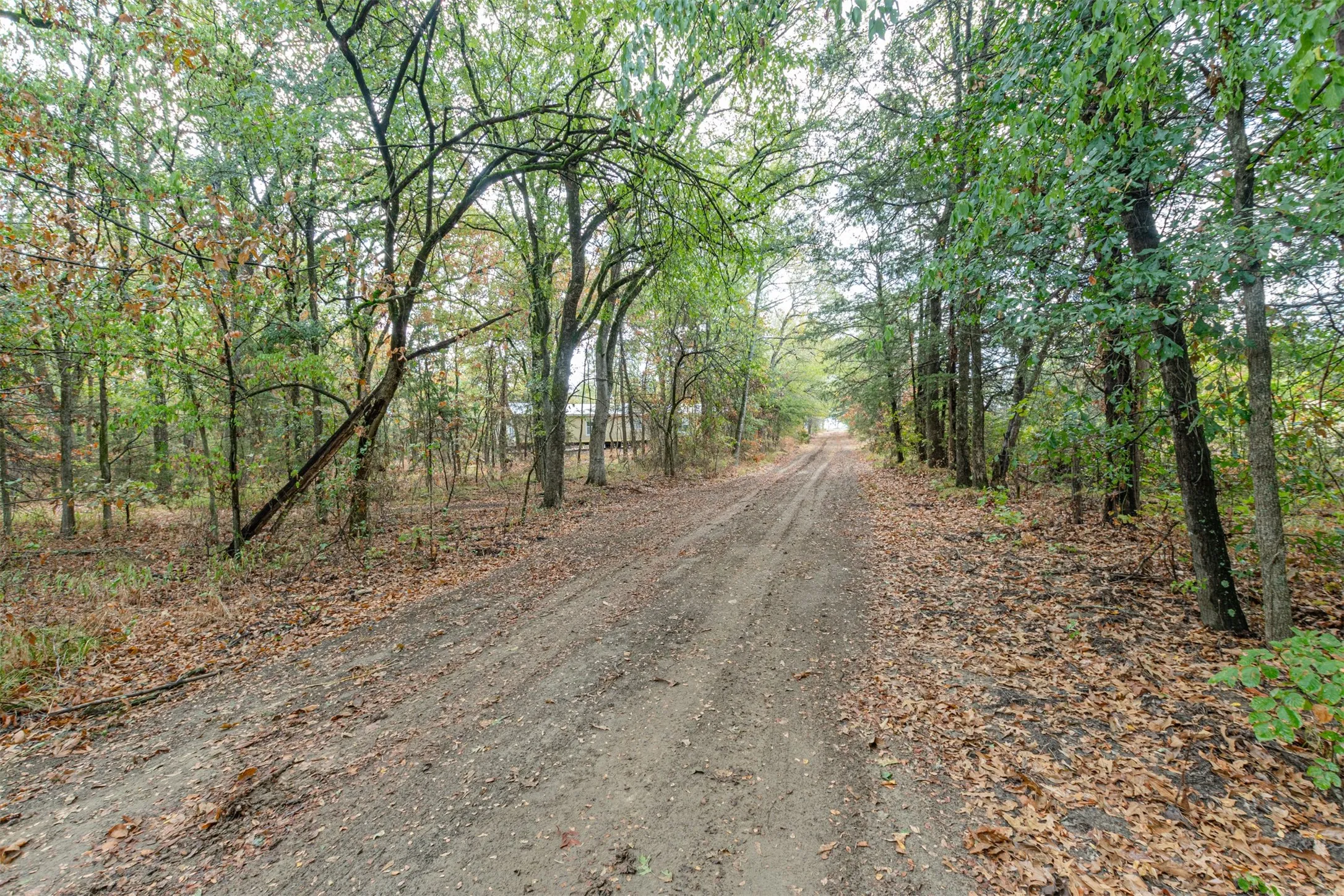 Unimproved Land For Sale in Hunt County , TBD County Road 3226, Lone Oak, Texas 75453, 0, 0, Garage spaces, 0 Sqft, built in 0, mls#21394627, Real Estate Agent in Lone Oak, Homes For Sale in Hunt county, Homes For Sale in Lone Oak, Realtor in Lone Oak Texas, Real Estate Brokerage Independent Realty Texas, Luminita Cordes Realtor