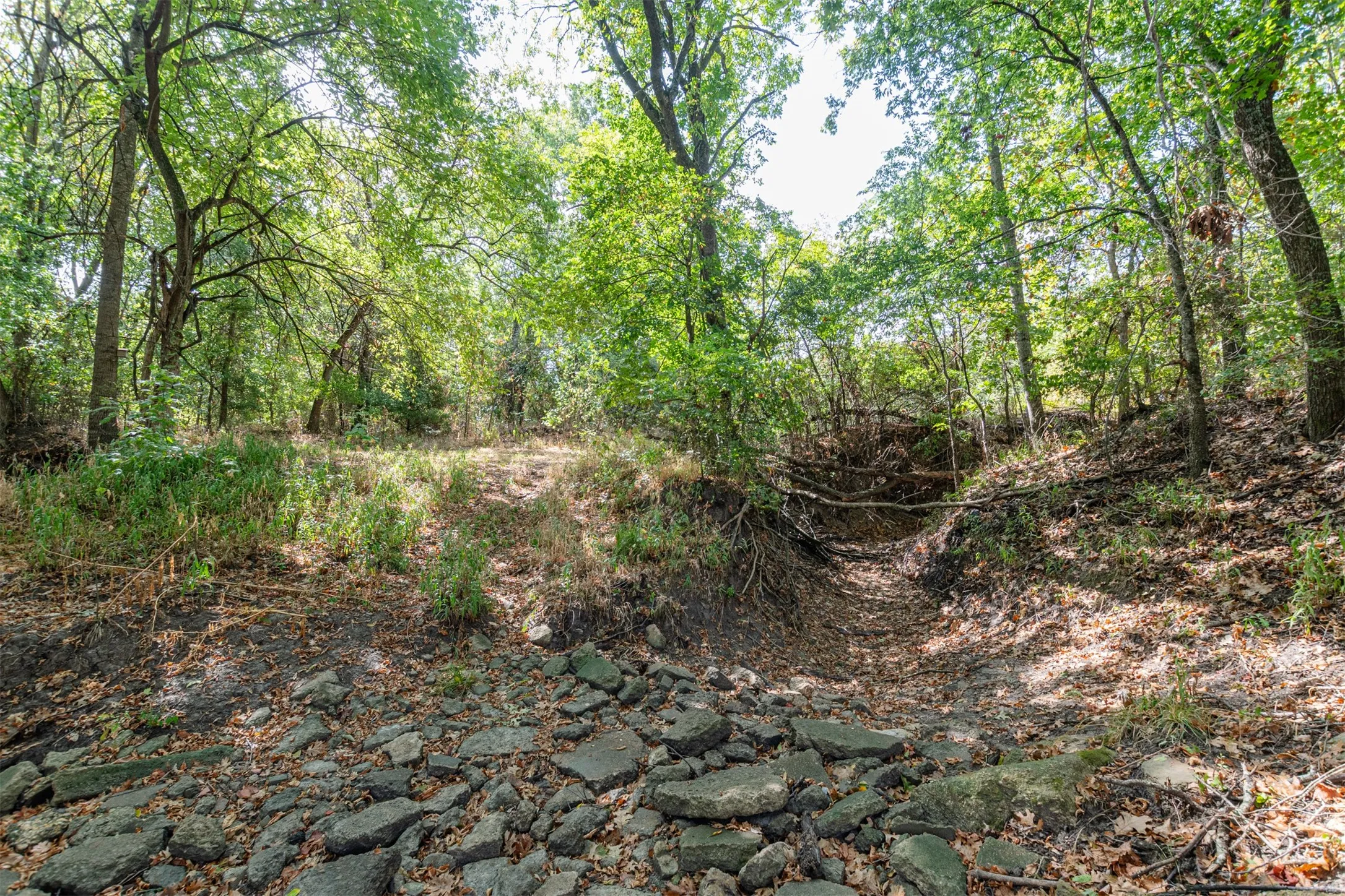 Unimproved Land For Sale in Hunt County , TBD County Road 3226, Lone Oak, Texas 75453, 0, 0, Garage spaces, 0 Sqft, built in 0, mls#21394627, Real Estate Agent in Lone Oak, Homes For Sale in Hunt county, Homes For Sale in Lone Oak, Realtor in Lone Oak Texas, Real Estate Brokerage Independent Realty Texas, Luminita Cordes Realtor