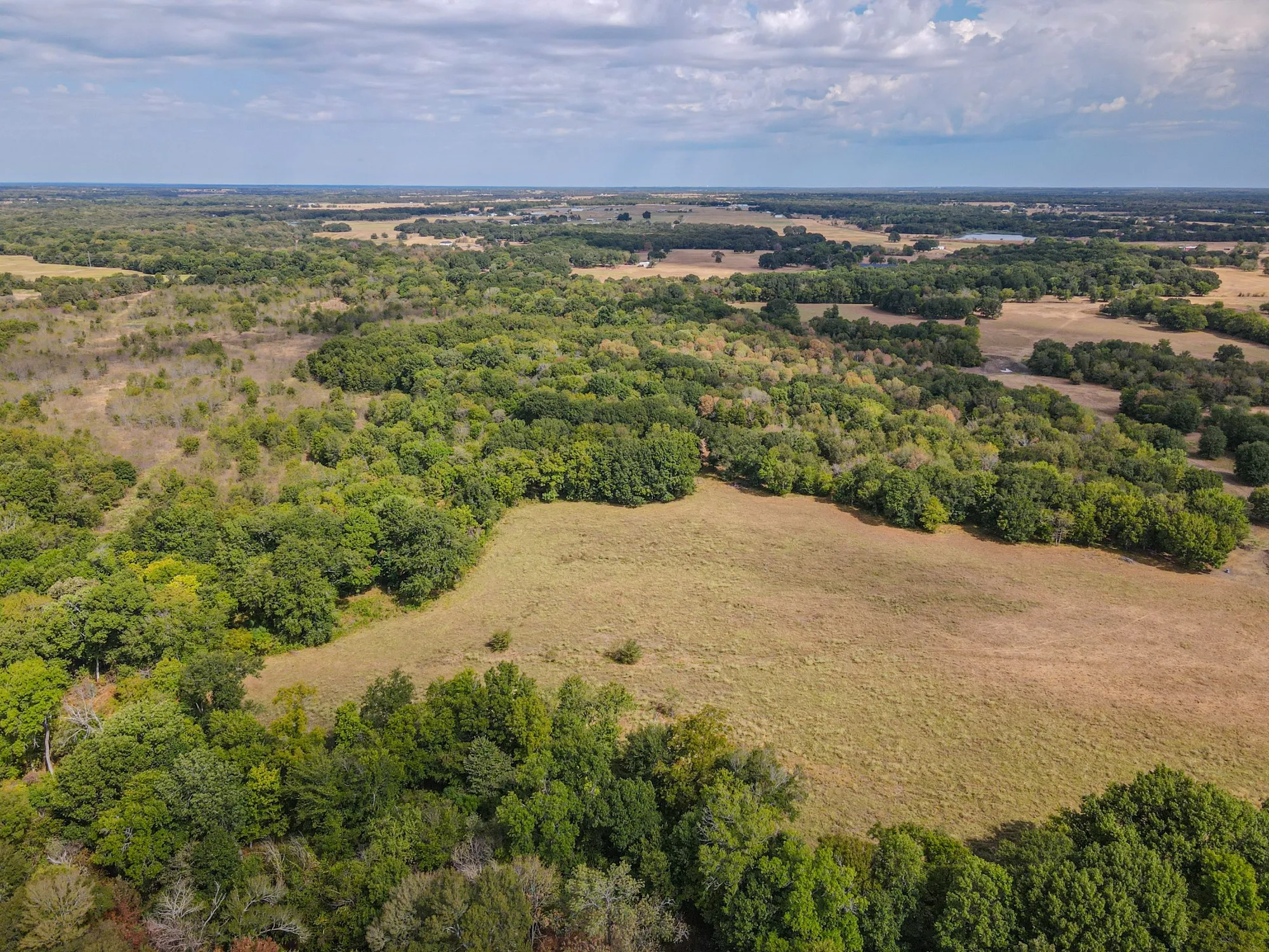 Unimproved Land For Sale in Hunt County , TBD County Road 3226, Lone Oak, Texas 75453, 0, 0, Garage spaces, 0 Sqft, built in 0, mls#21394627, Real Estate Agent in Lone Oak, Homes For Sale in Hunt county, Homes For Sale in Lone Oak, Realtor in Lone Oak Texas, Real Estate Brokerage Independent Realty Texas, Luminita Cordes Realtor