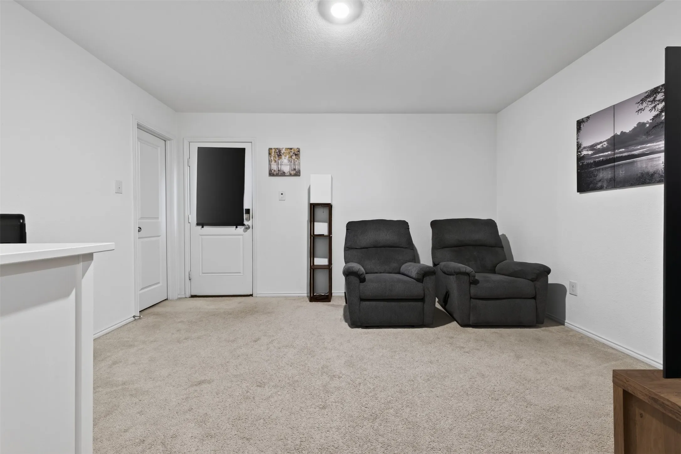 Neutral tone wall finishes, carpeting, and a flush-mount ceiling light