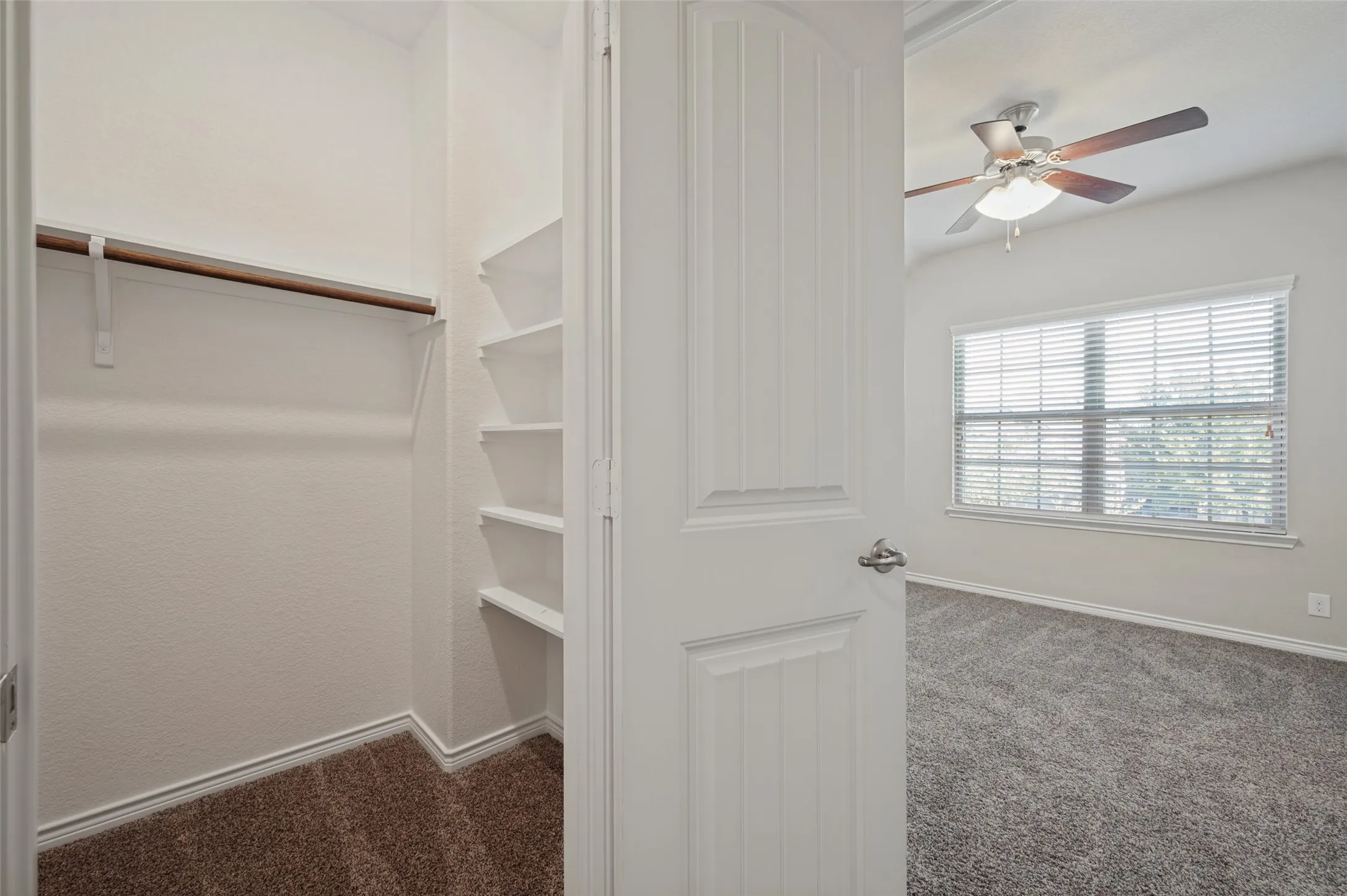 Spacious second extra storage with neutral carpet flooring, white walls, a multi-pane window with blinds, and a ceiling fan