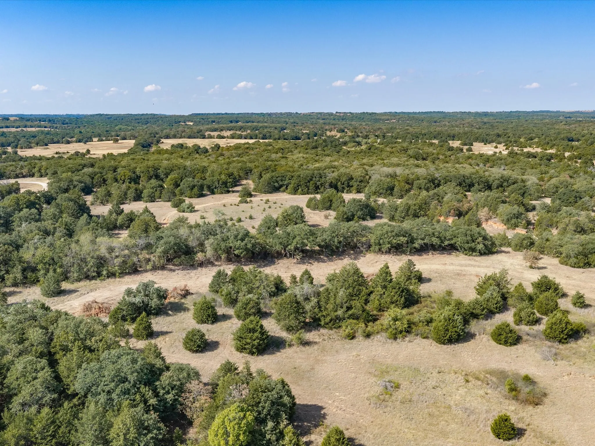 Unimproved Land For Sale in Wise County , TBD County Road 2560, Alvord, Texas 76225, 0, 0, Garage spaces, 0 Sqft, built in 0, mls#21392032, Real Estate Agent in Alvord, Homes For Sale in Wise county, Homes For Sale in Alvord, Realtor in Alvord Texas, Real Estate Brokerage Independent Realty Texas, Luminita Cordes Realtor
